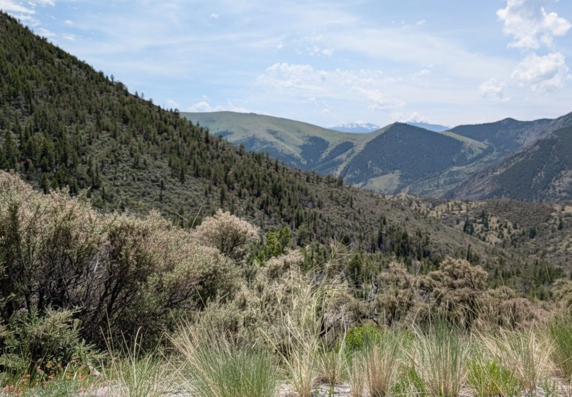 Scenic overlook of Jefferson River valley