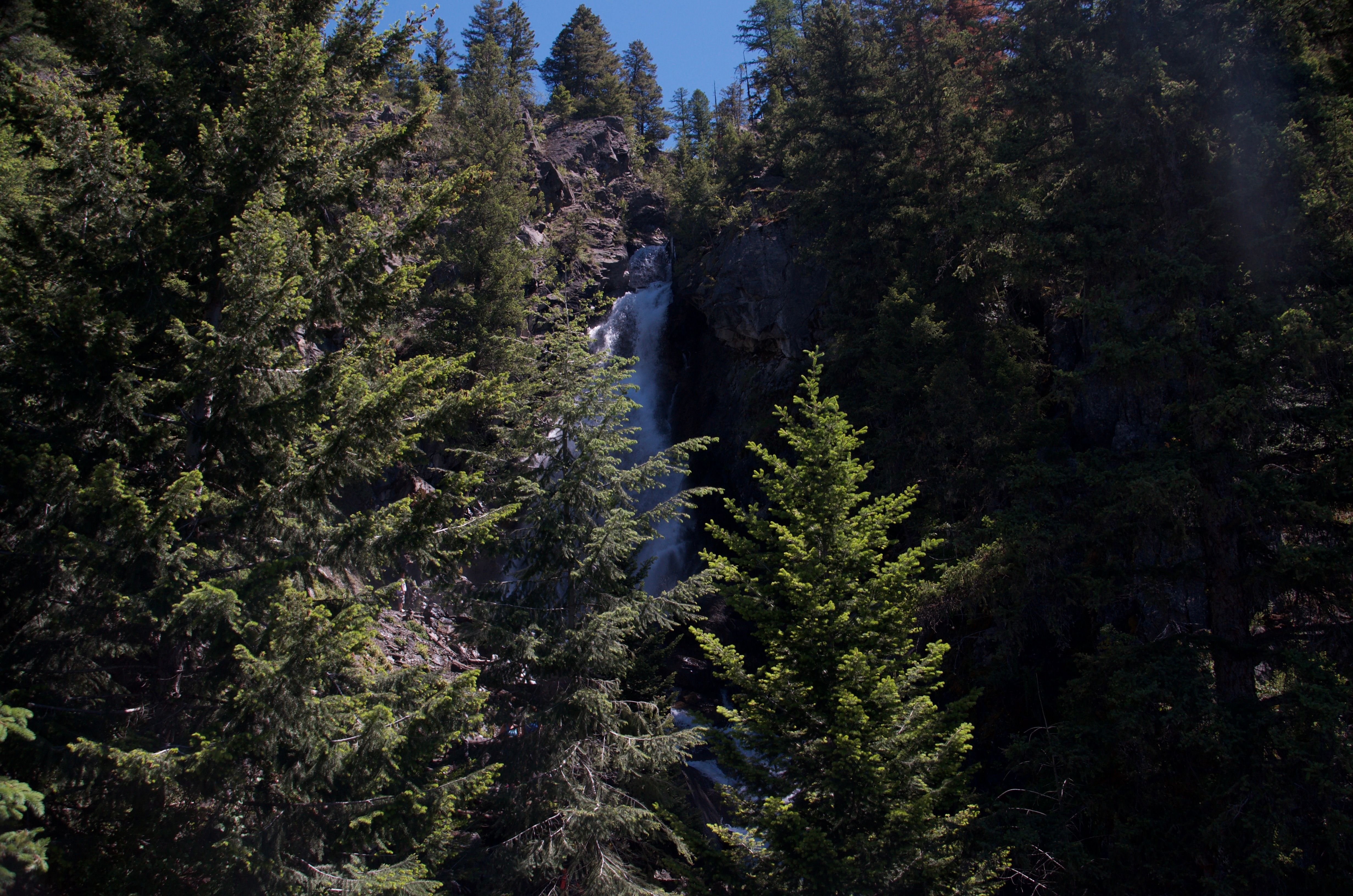 Distant view of Holland Falls partially obscured by trees from the official maintained overlook