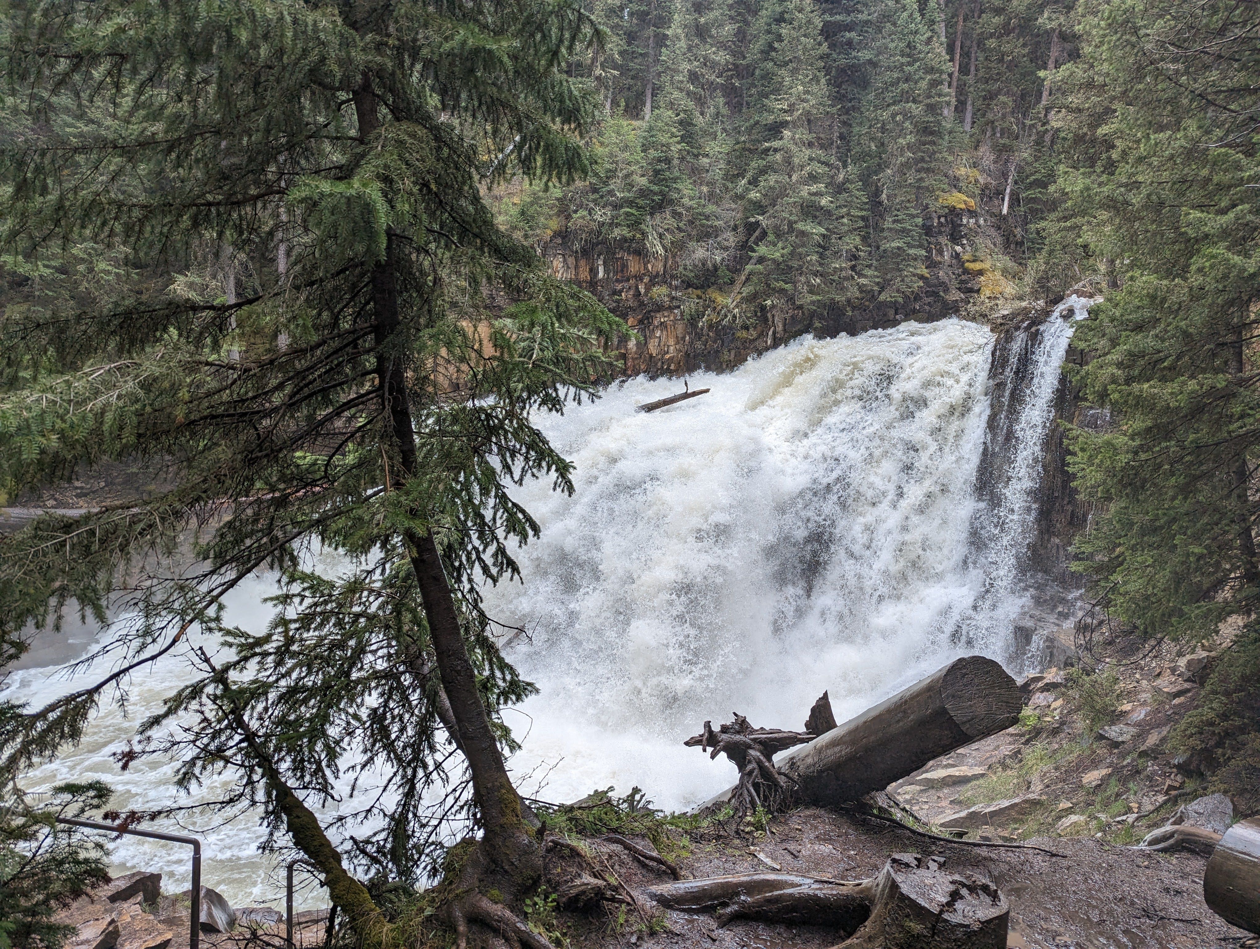 Ousel Falls at high flow with powerful spray and mist through the trees
