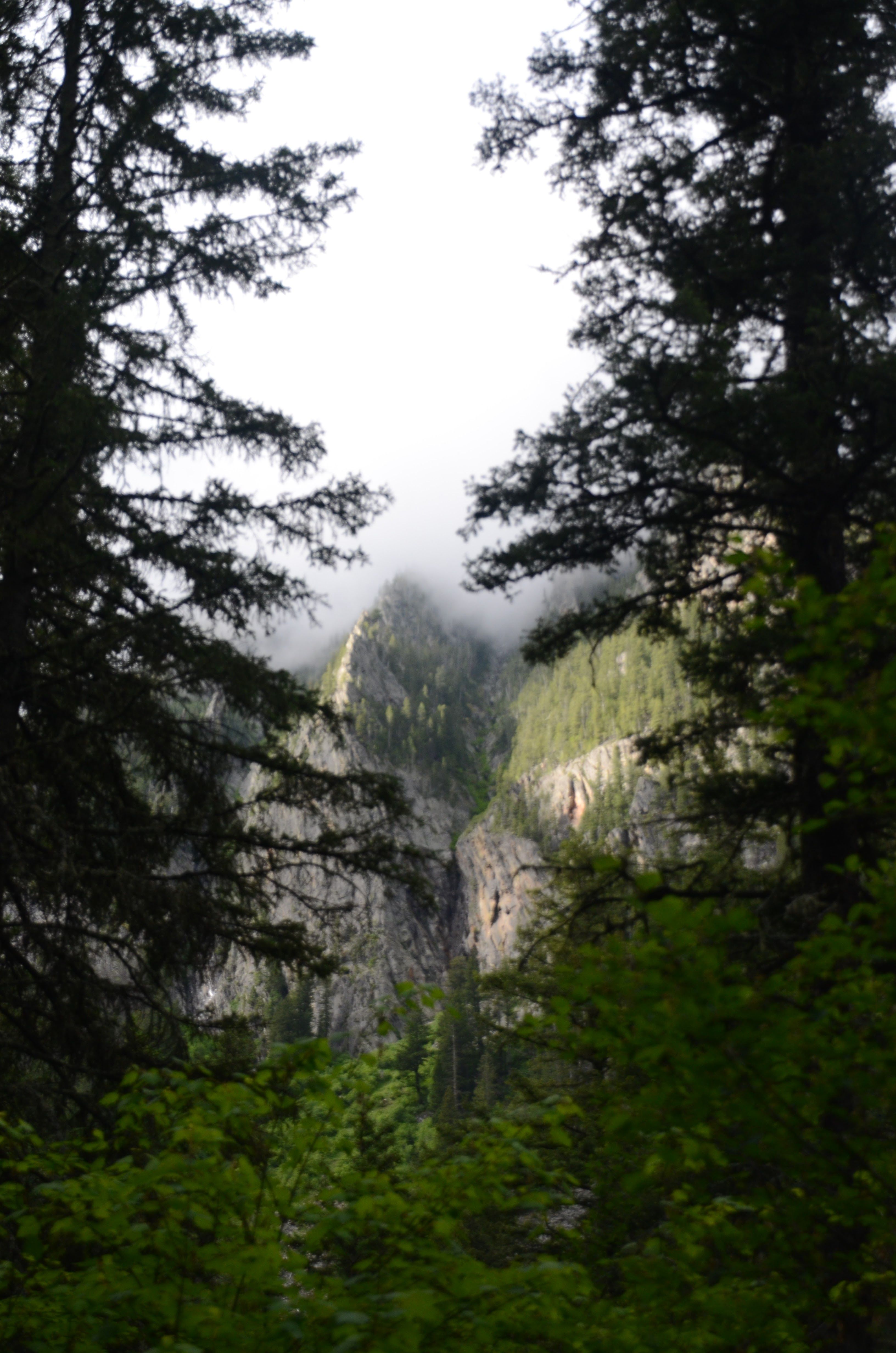 Absaroka-Beartooth Wilderness sign at Gallatin National Forest