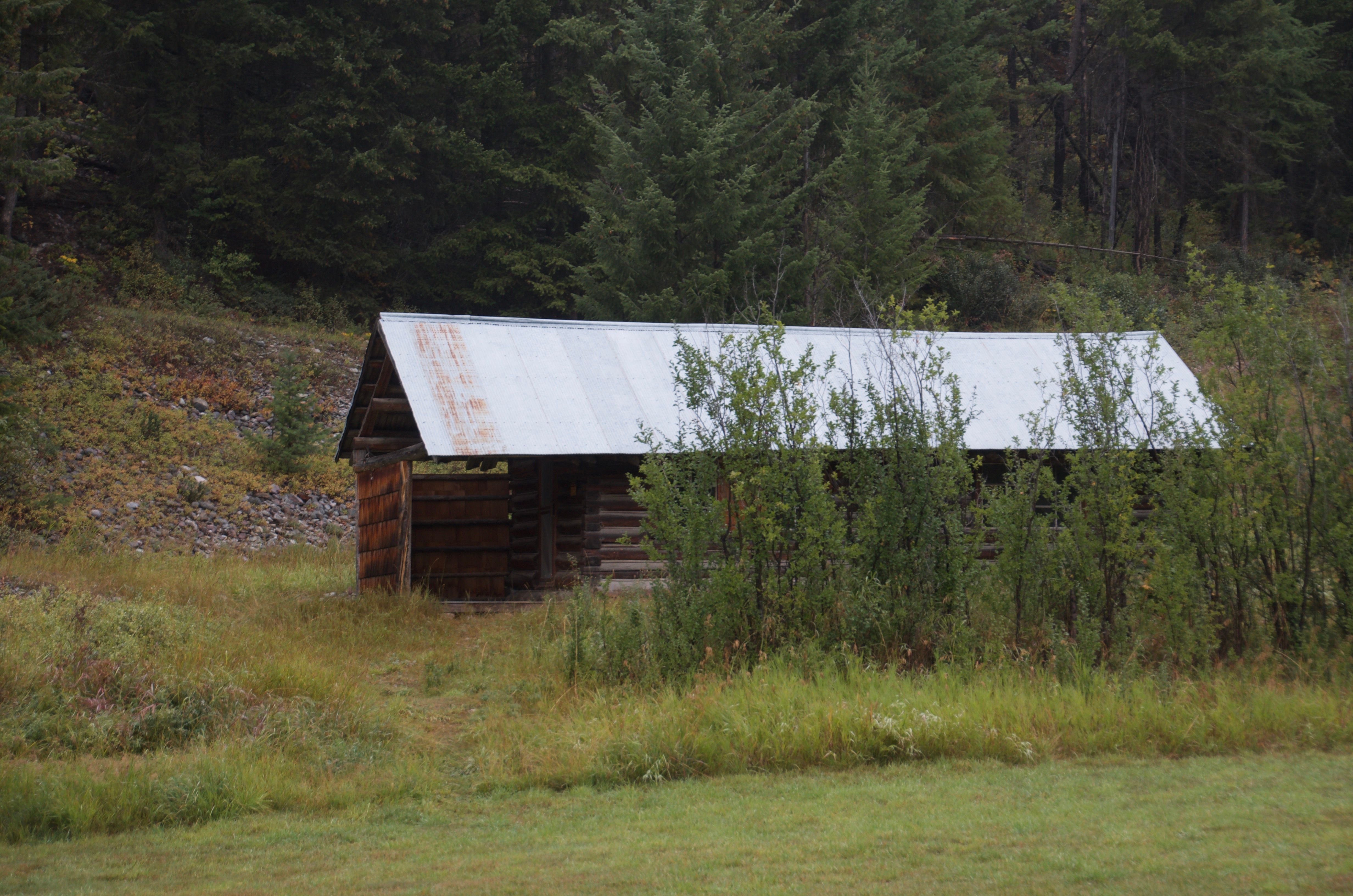 The historic log outbuilding on the Wurtz Cabin property, partially overgrown with brush