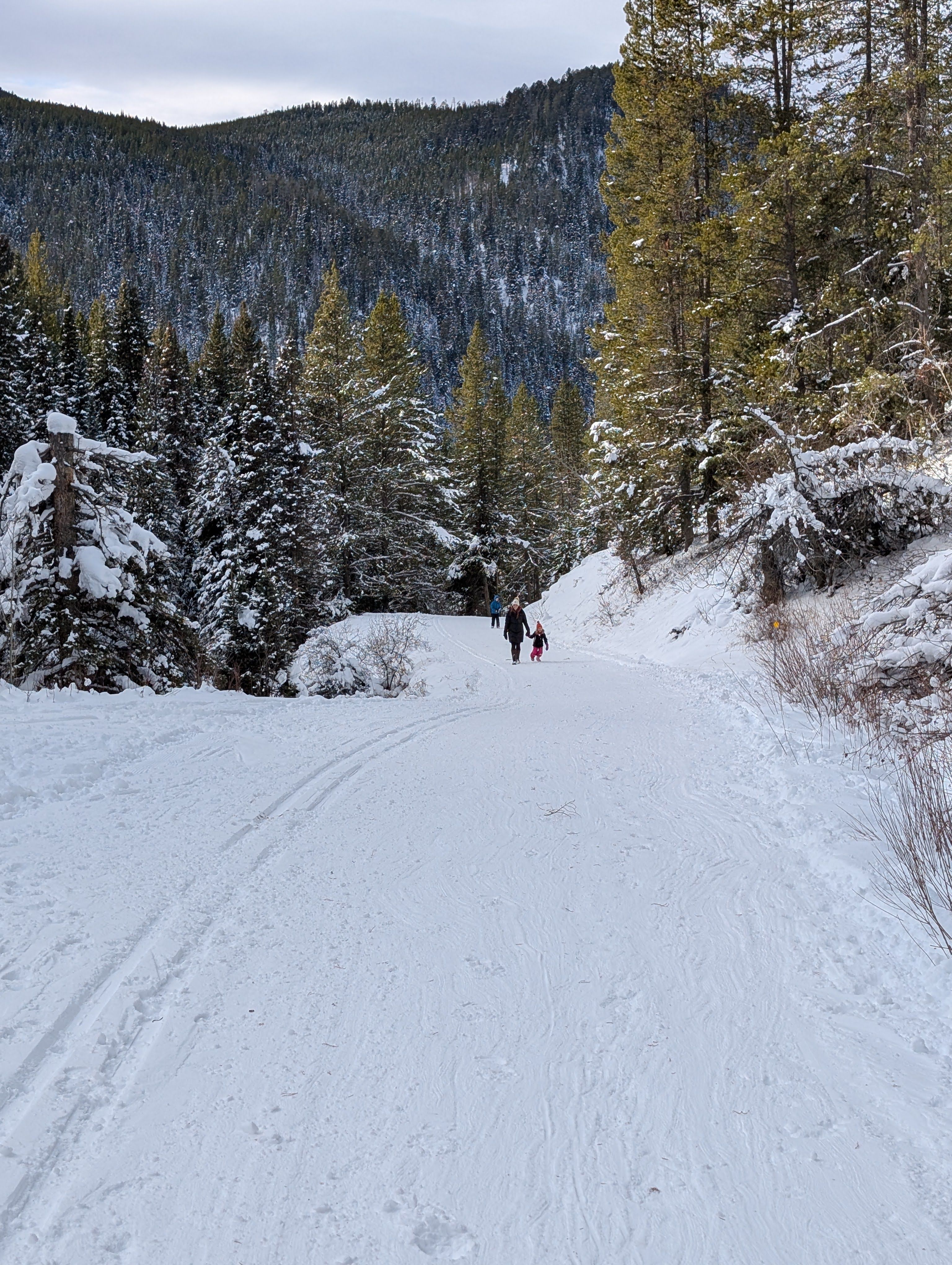 Cross-country skiers on groomed trails winding through snow-covered Hyalite Canyon