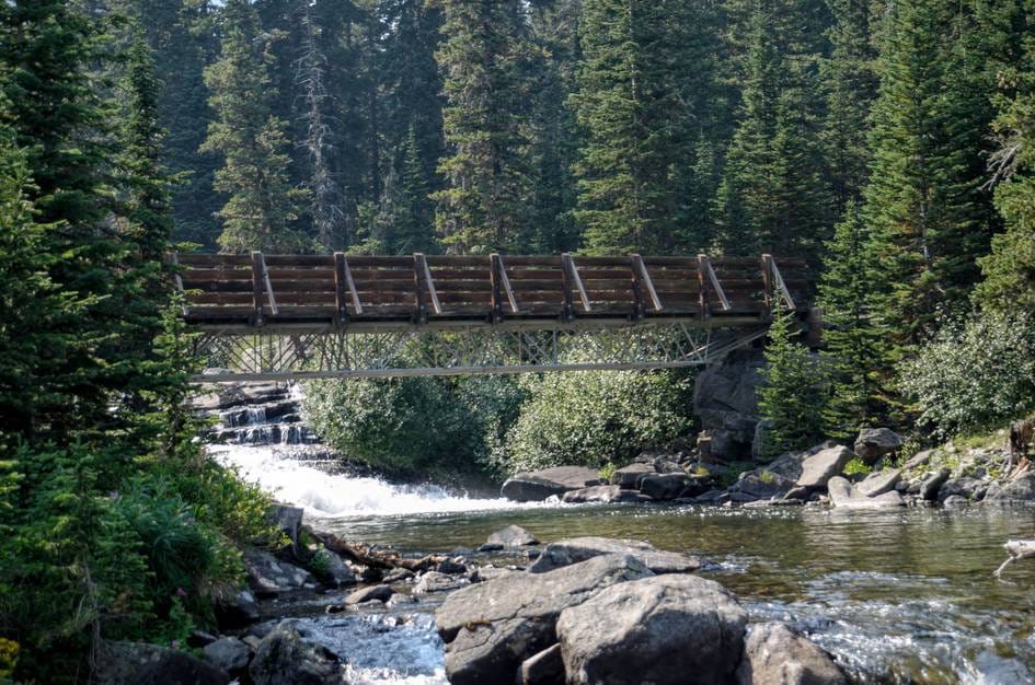 Metal footbridge spanning creek with cascading water and spruce forest