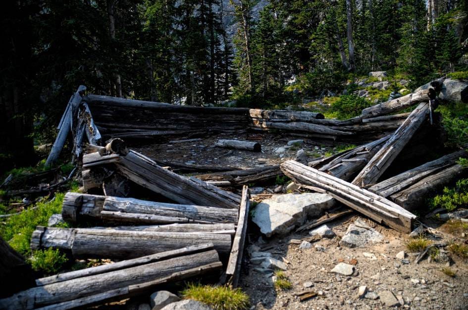 Collapsed historic log cabin ruins on rocky ground in sparse forest