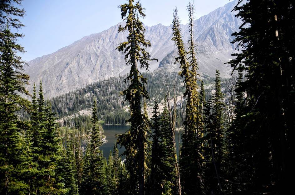 Granite Lake glimpsed through lichen-covered spruce with massive rocky mountain backdrop