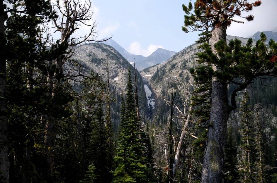 View through sparse trees of rocky mountain peaks with cascading waterfall in valley