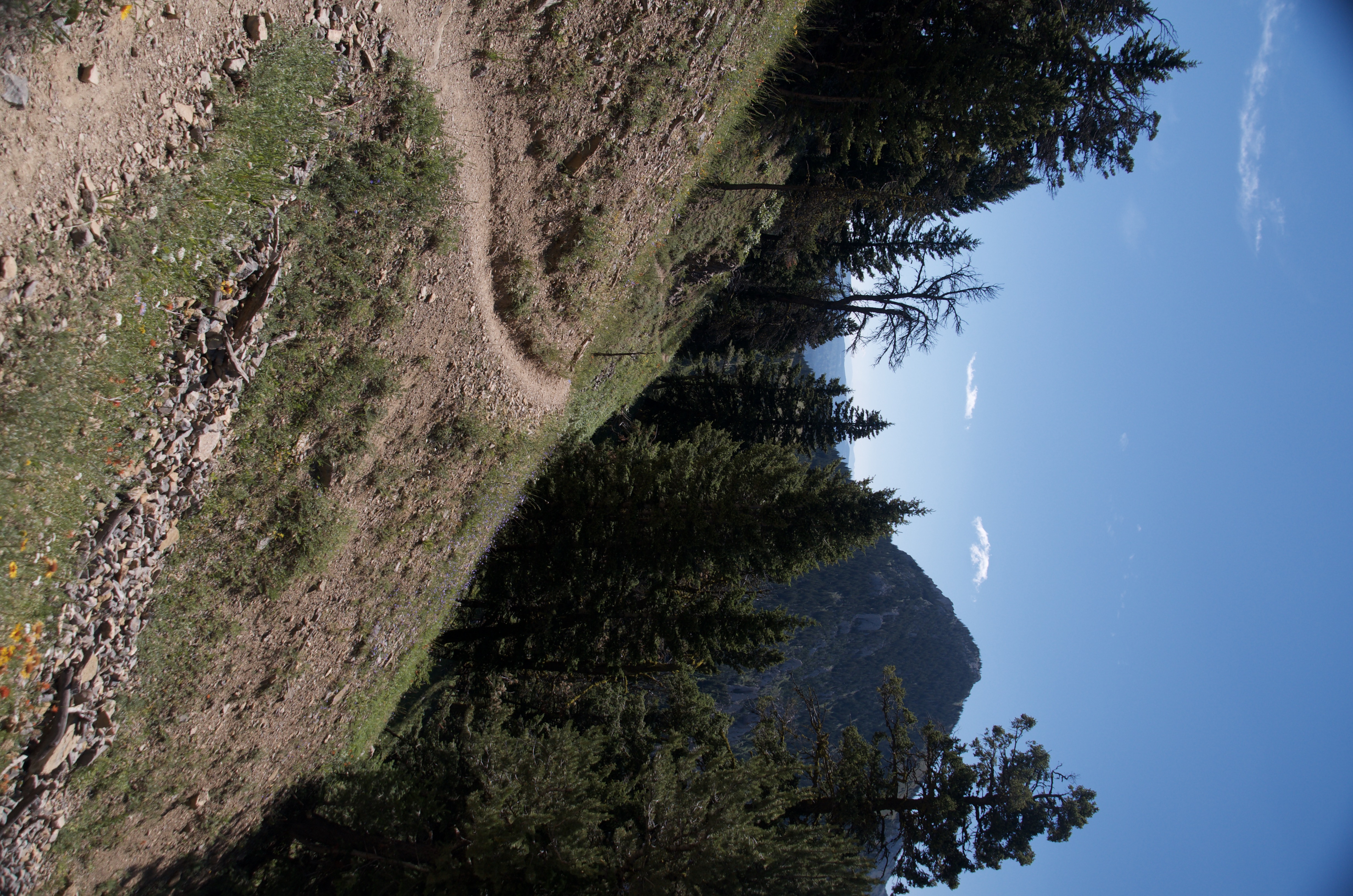Rocky trail switchback along the Bridger Ridge edge with limestone cliff and blue sky above