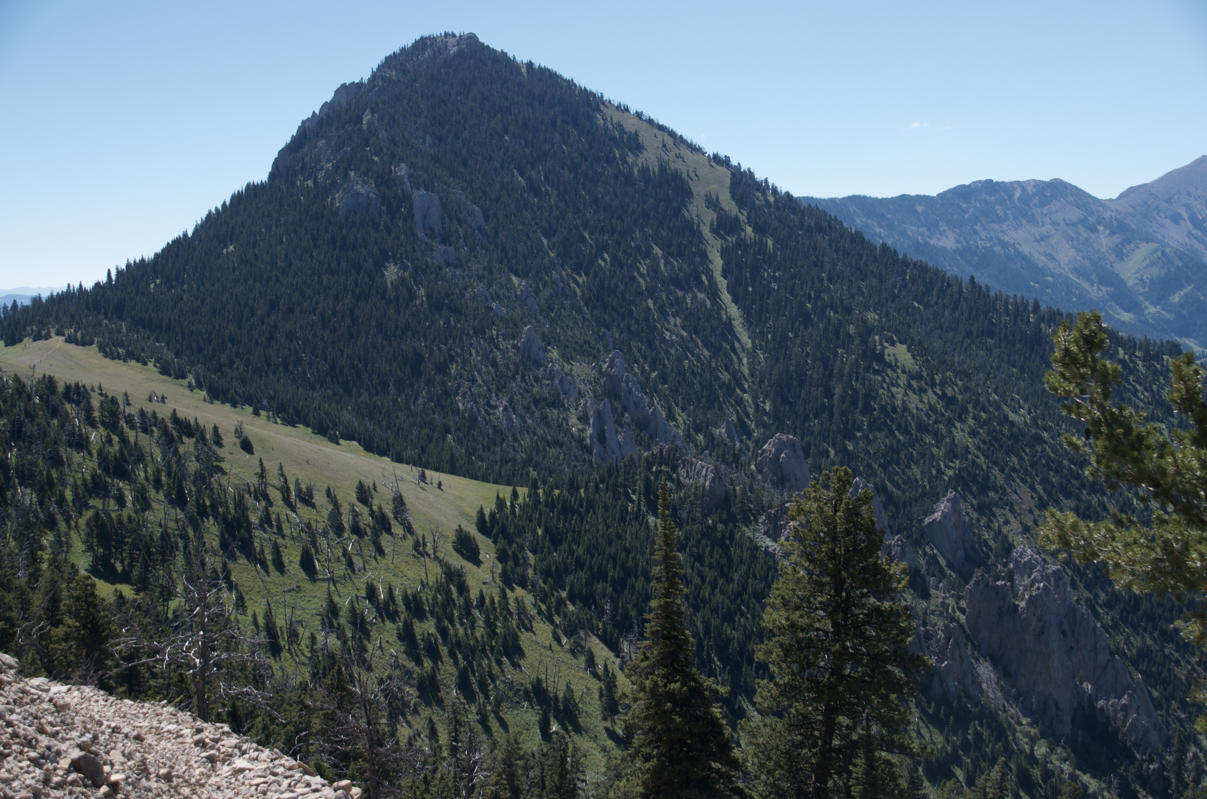 Forested Bridger peak viewed from across a deep canyon with rocky outcrops and green slopes