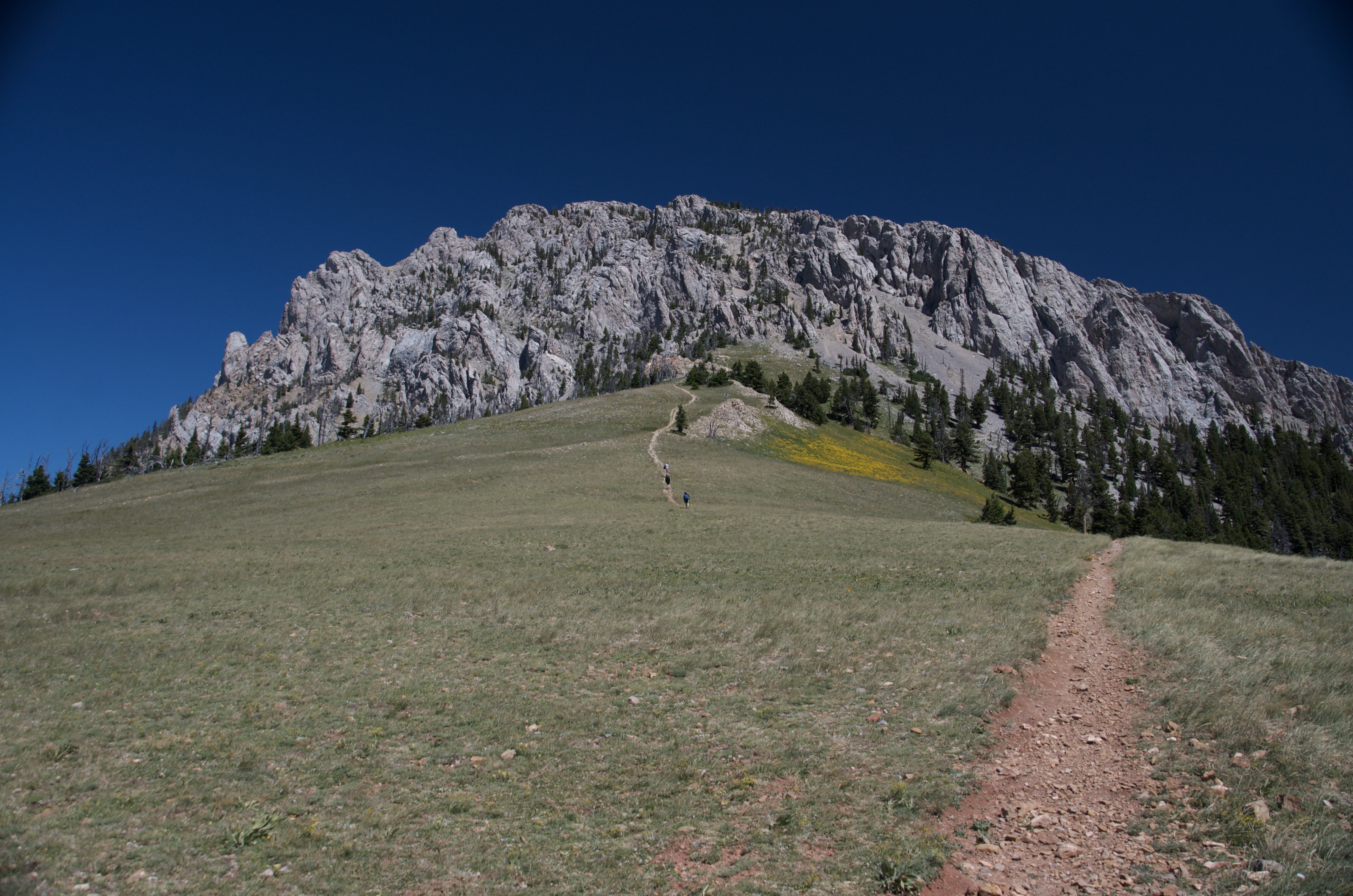 Single-track trail approaching a massive limestone cliff wall across open grassy meadow on the Bridger Ridge approach