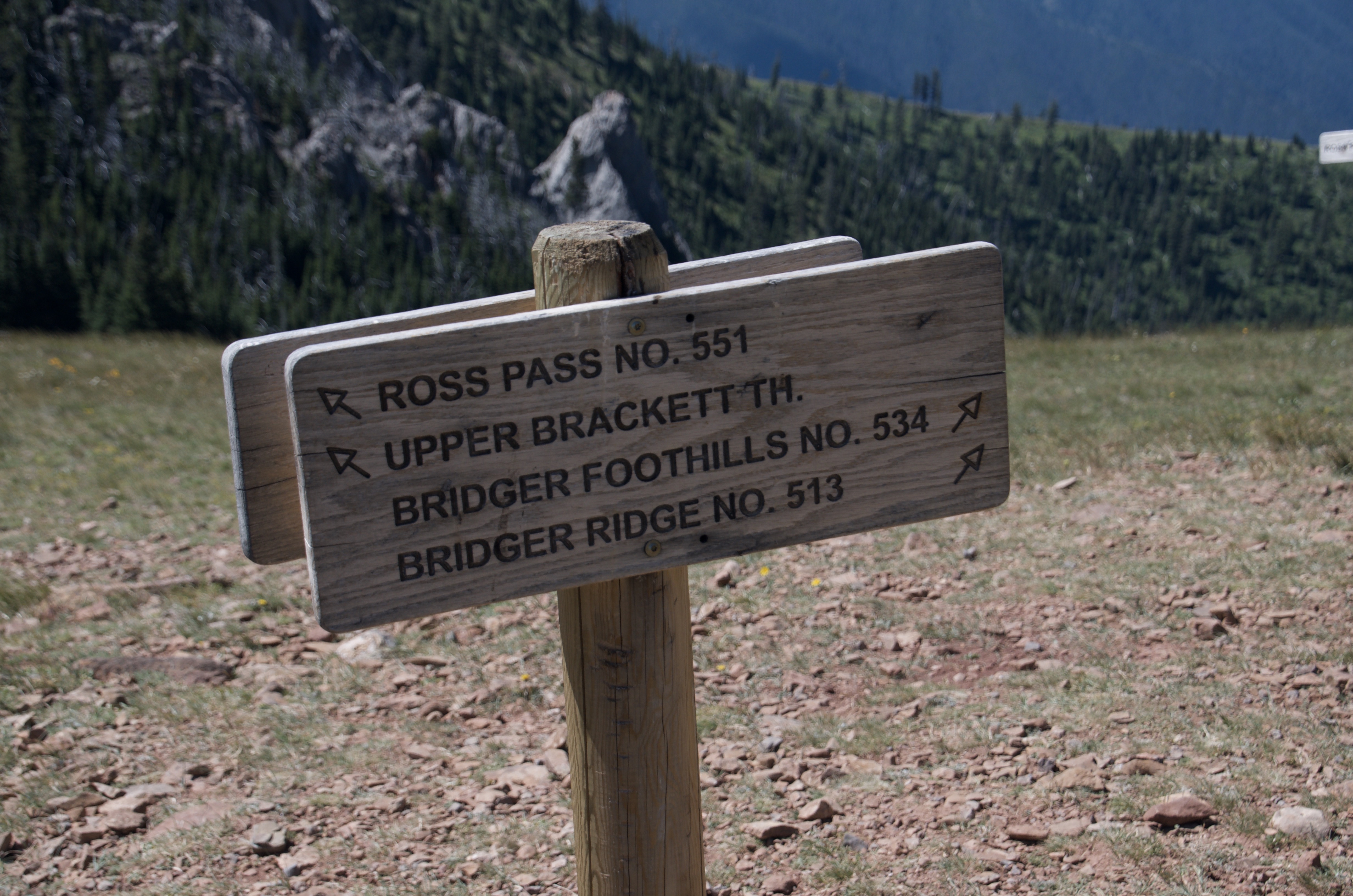 Wooden trail junction sign showing Ross Pass No. 551, Bridger Foothills No. 534, and Bridger Ridge No. 513