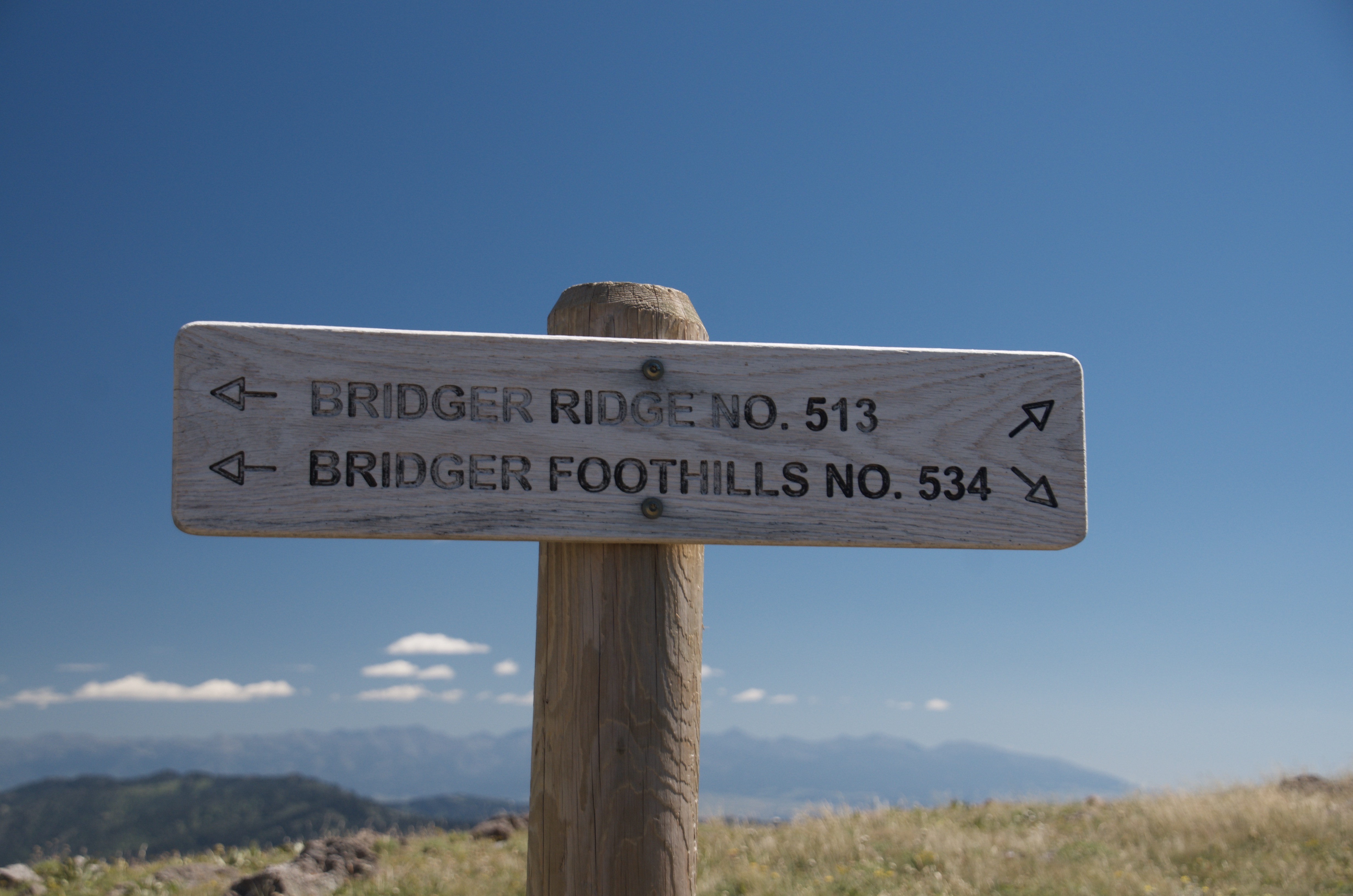 Wooden trail sign reading Bridger Ridge No. 513 against deep blue sky with the Gallatin Valley visible behind