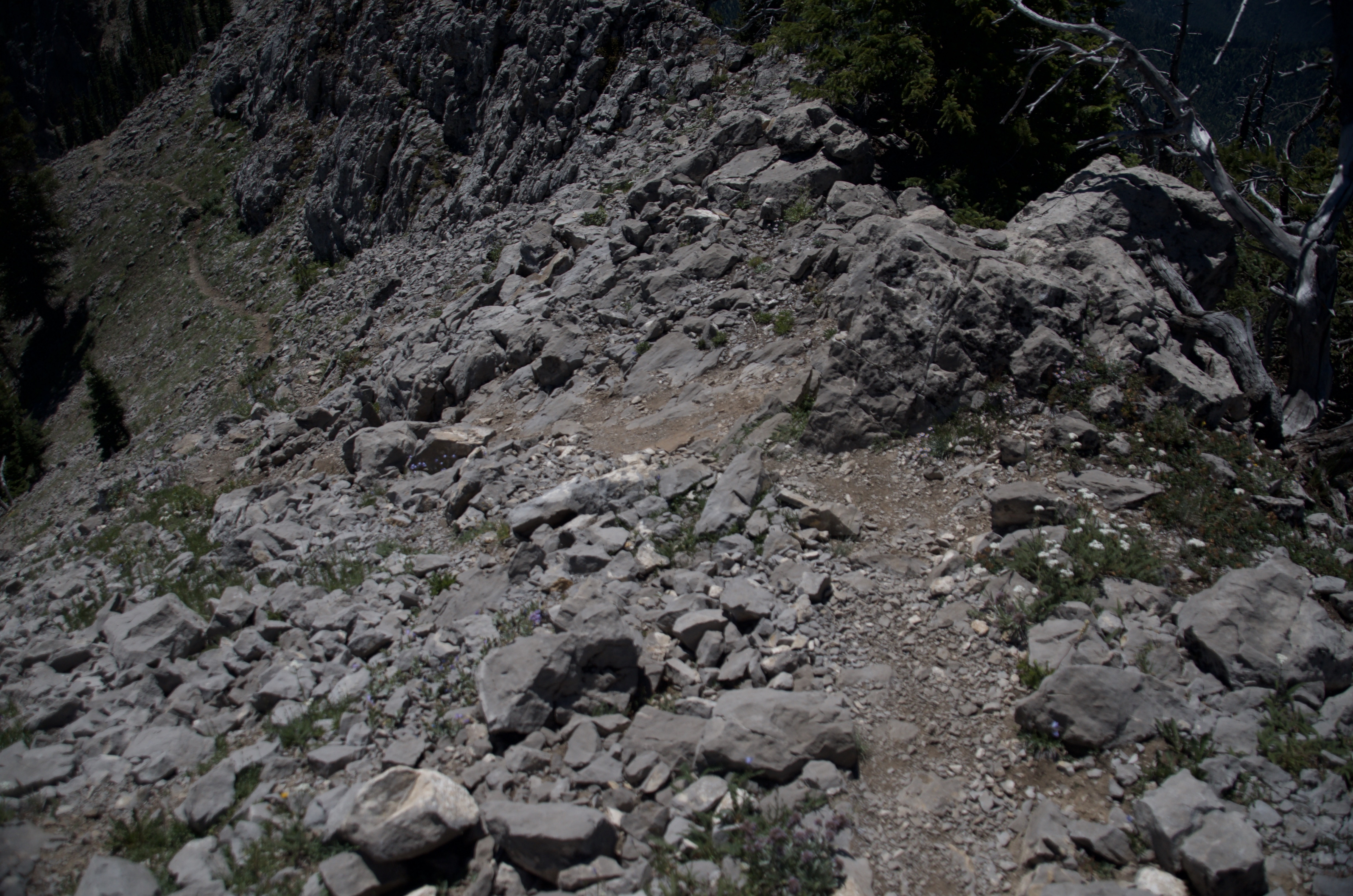 Close view of the rocky talus trail on the Bridger Ridge with loose angular limestone underfoot