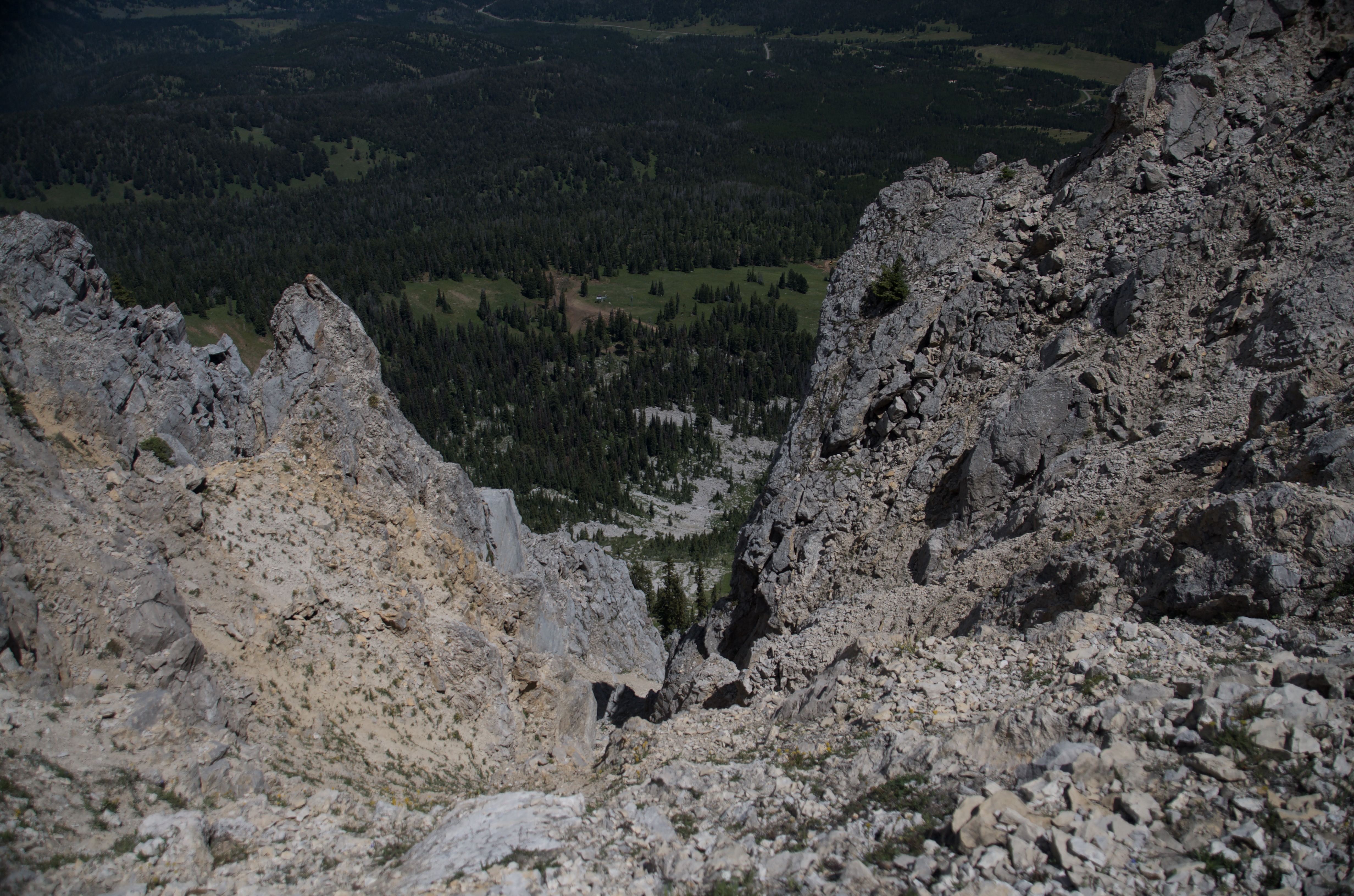 Looking straight down through jagged limestone pinnacles to forested valley floor far below from the Bridger Ridge