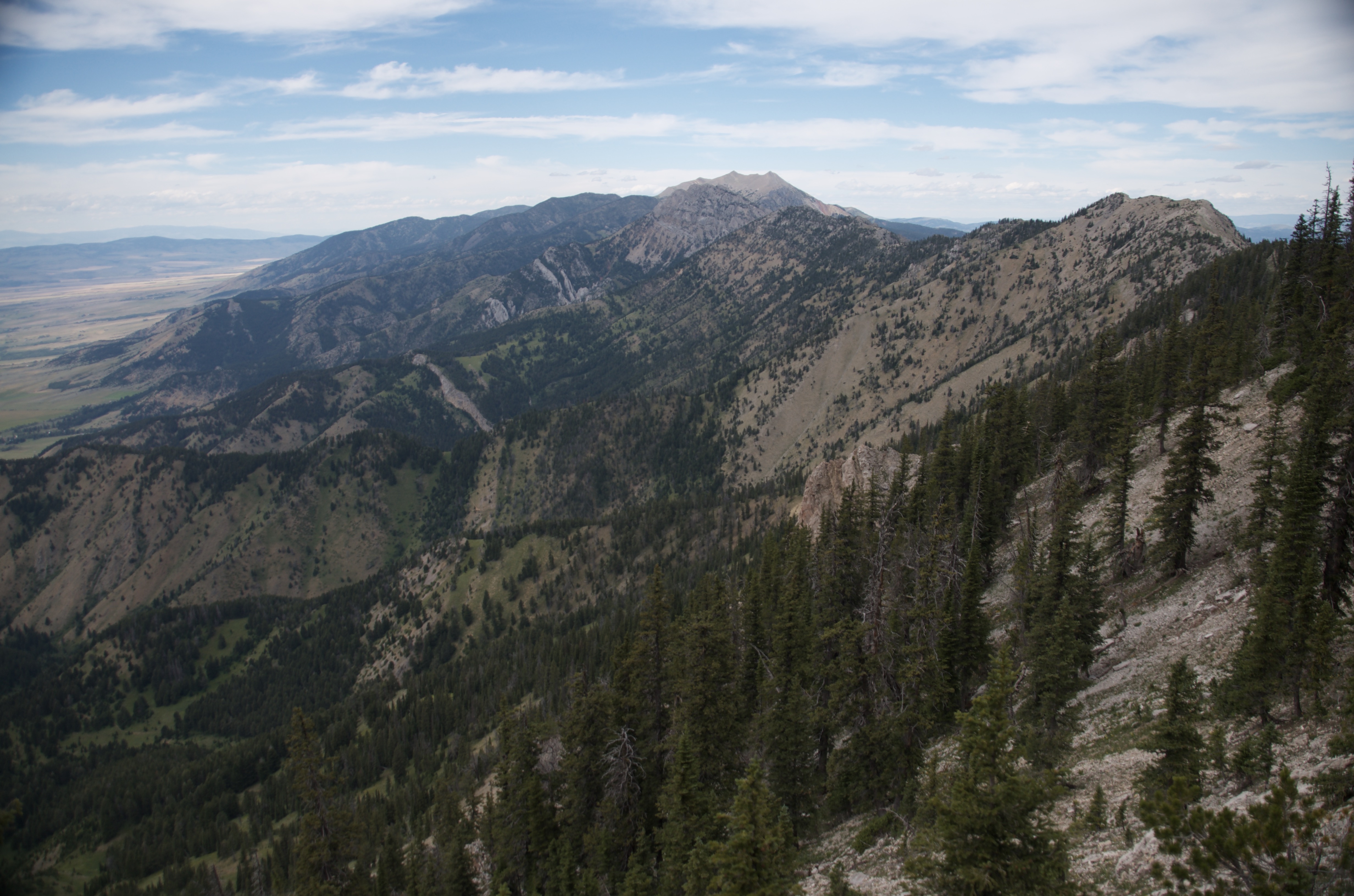 Looking north along the Bridger Ridge with layered forested ridges and the Gallatin Valley visible to the left