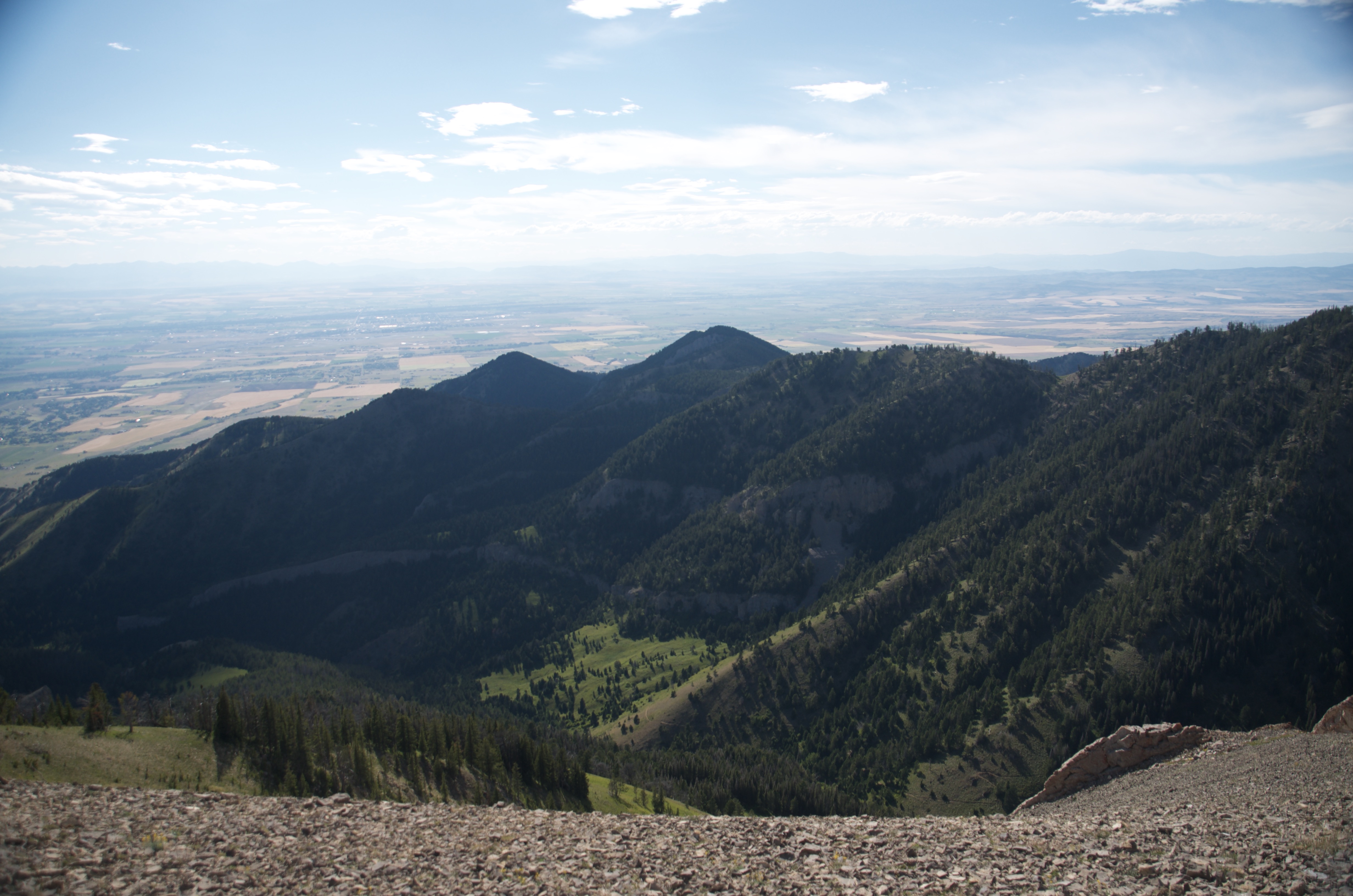 East-facing view from the Bridger Ridge looking down into a forested canyon with the Gallatin Valley beyond
