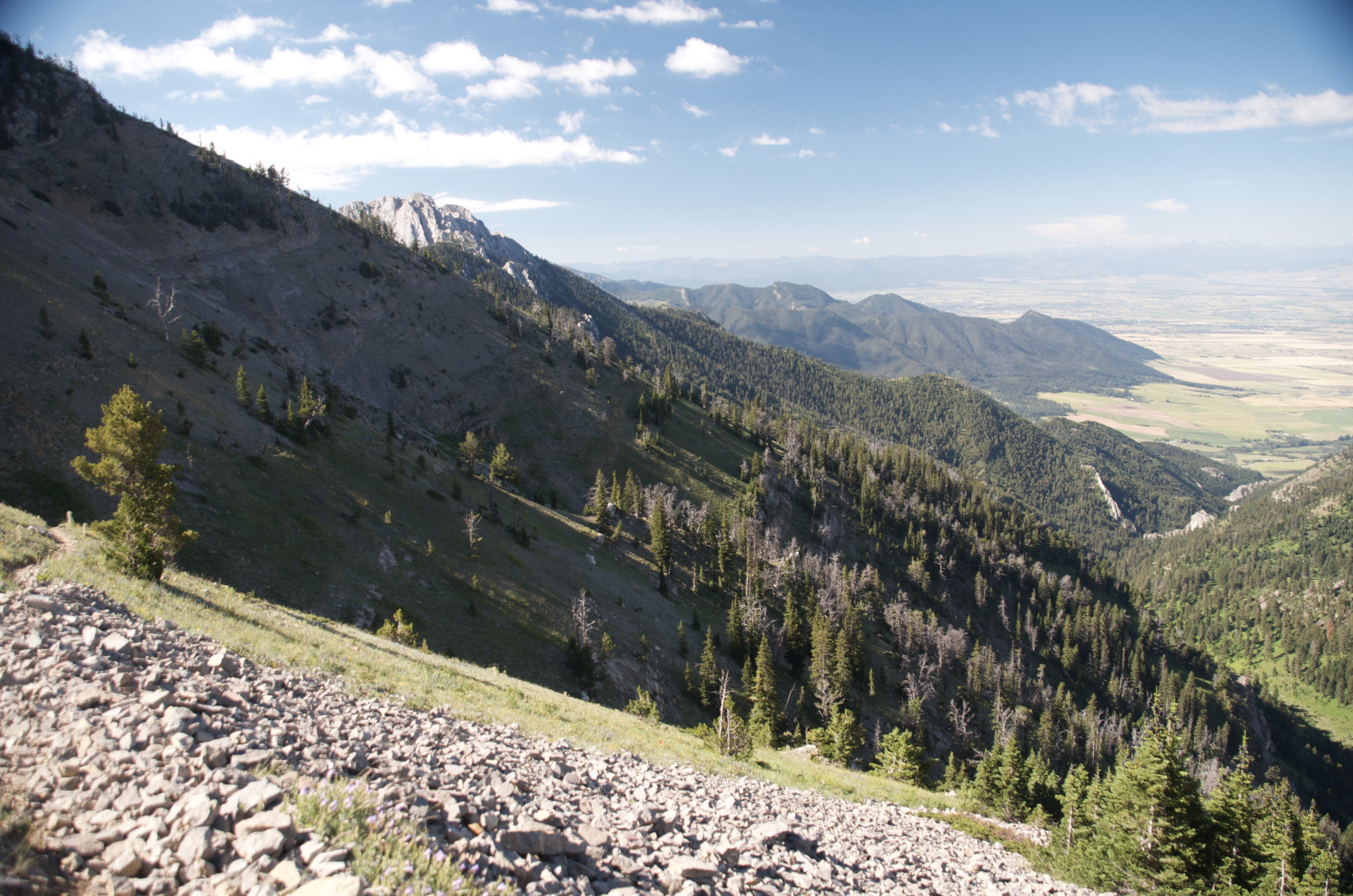 Limestone cliffs and forested canyon slopes on the Bridger Ridge with Gallatin Valley visible in the distance
