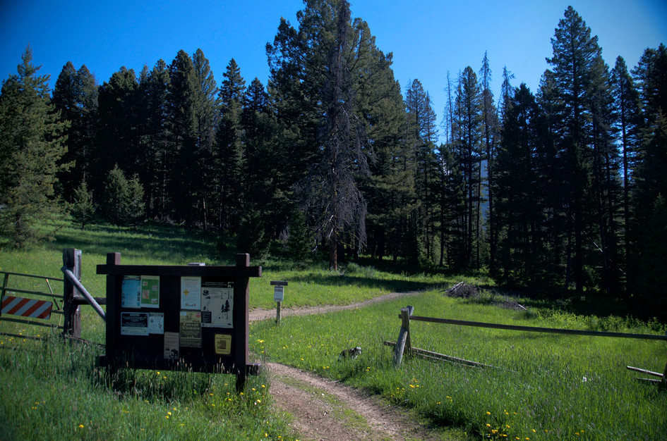 Trailhead information kiosk with fence and dirt trail leading into pine forest