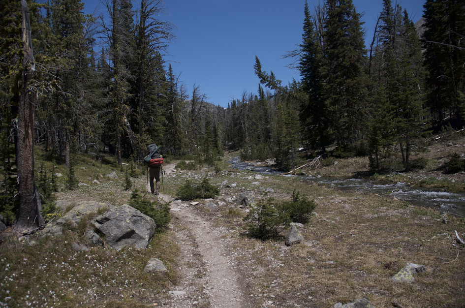 Backpacker hiking trail through open basin with creek and forested slopes