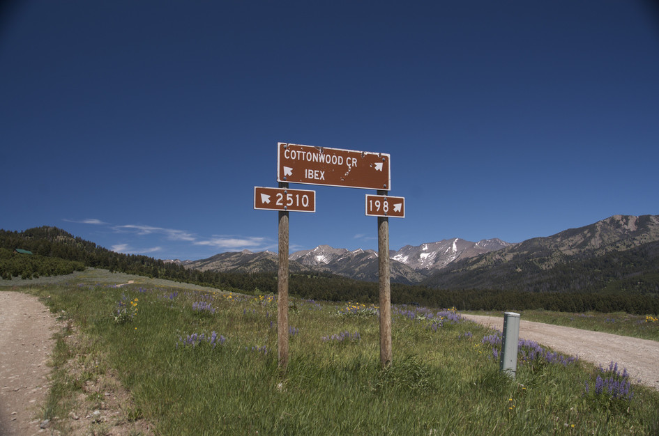 Trail junction signs for Cottonwood Creek and Ibex with Crazy Mountains panorama
