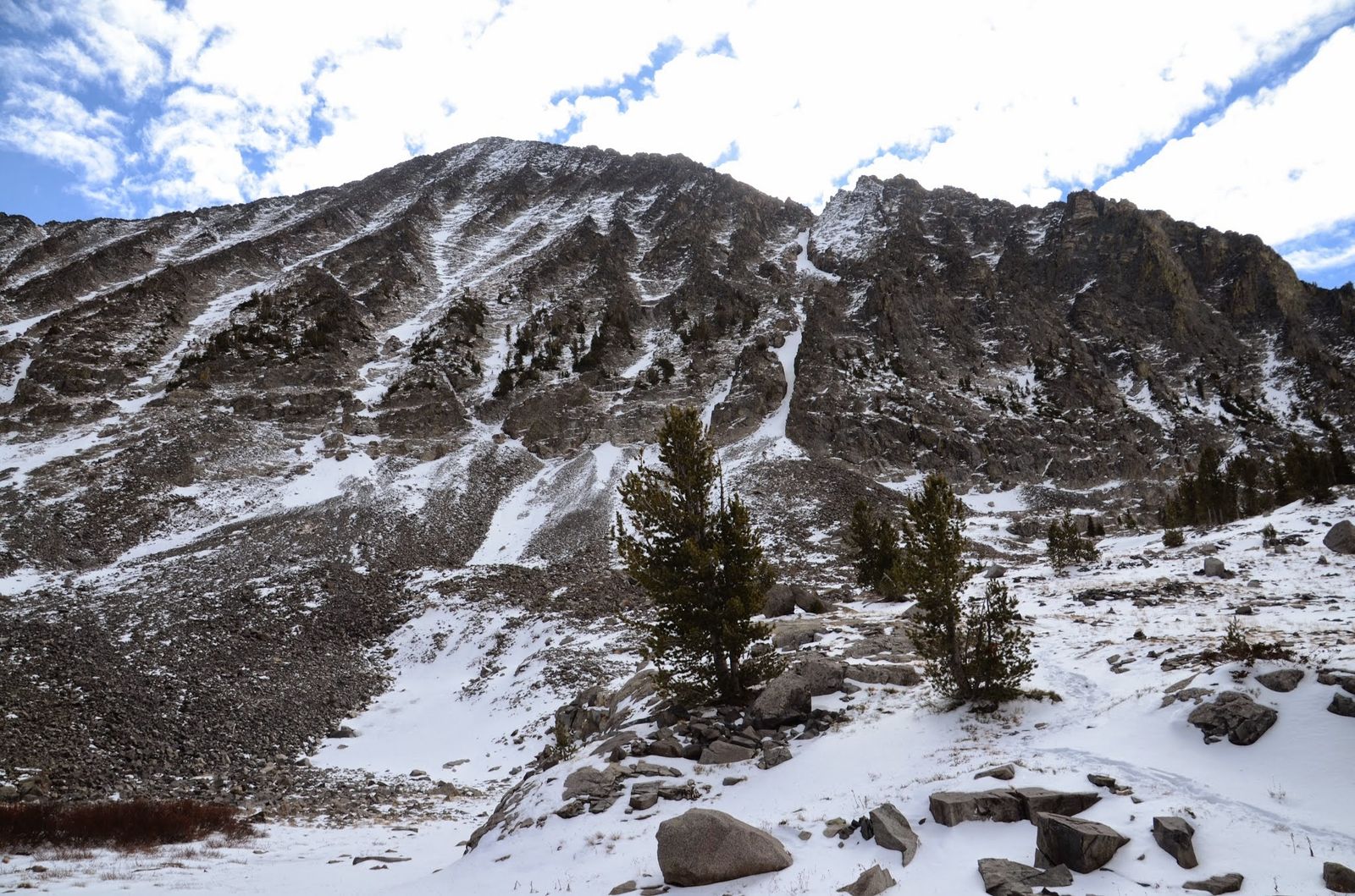 Snow-covered cirque wall towering above alpine basin with lone pine trees