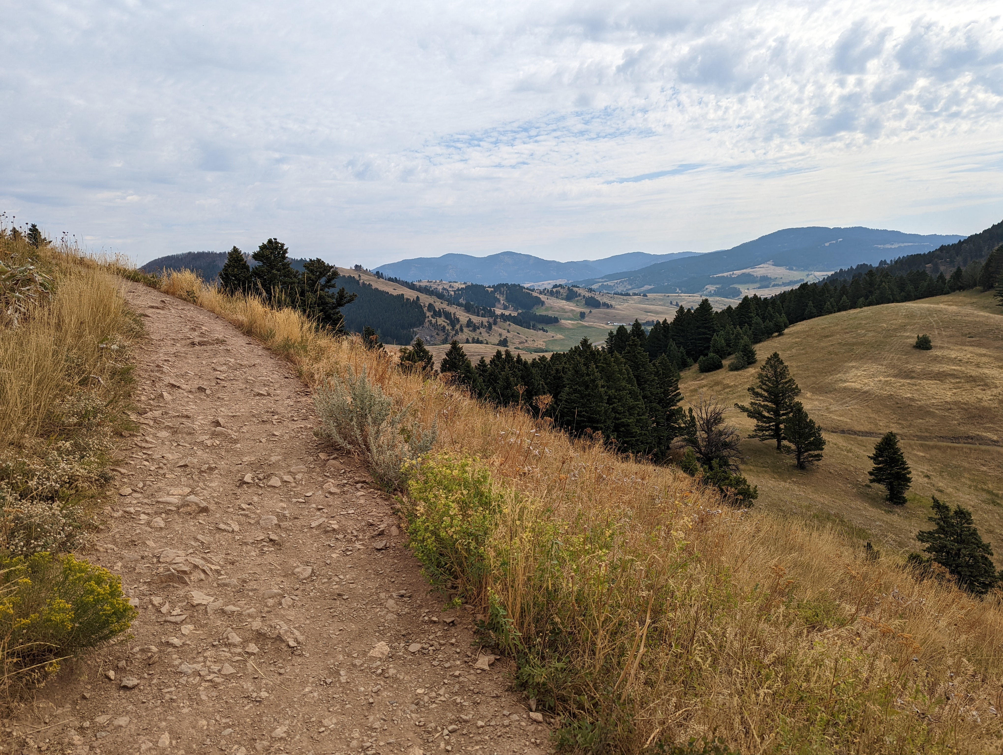 Dirt trail along exposed ridge with golden grass and mountain views