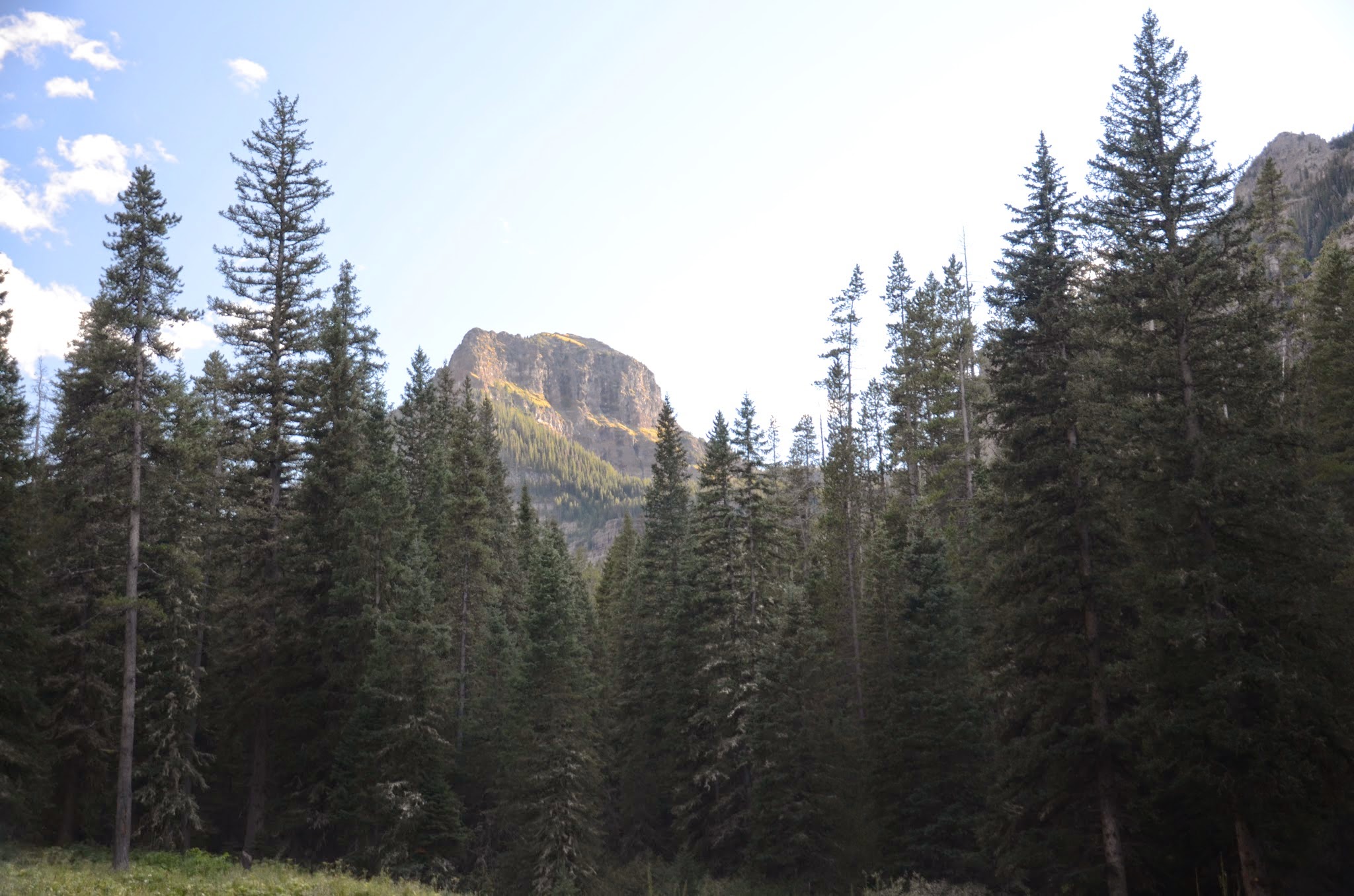 Rocky cliff peak lit by golden evening sun rising above tall spruce forest in Hyalite Canyon