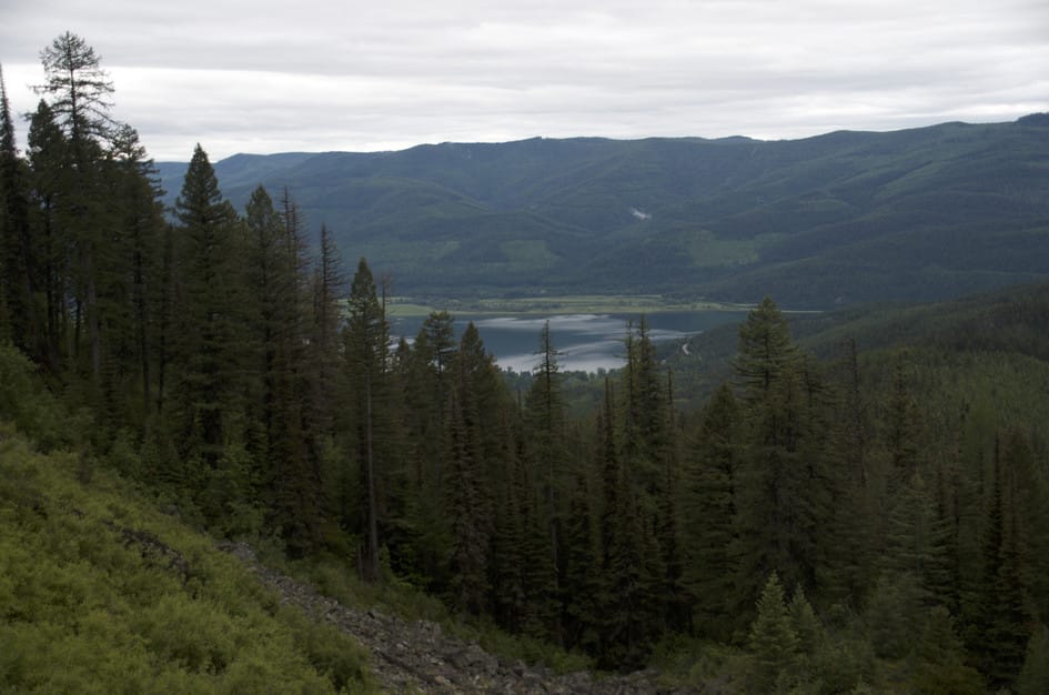 Swan Valley overlook with lake visible through pine trees