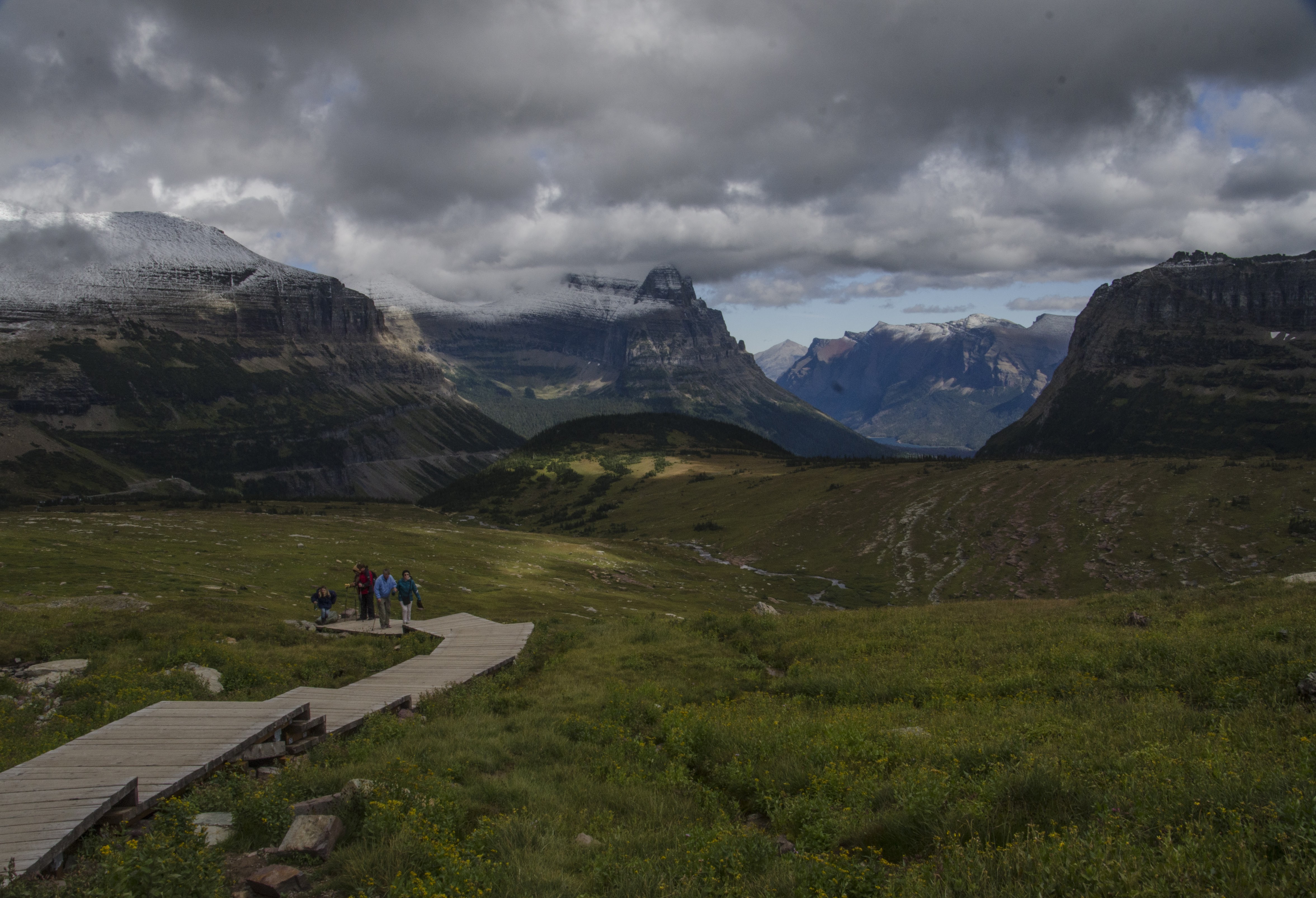 Boardwalk with hikers crossing alpine meadow with wildflowers and mountain backdrop