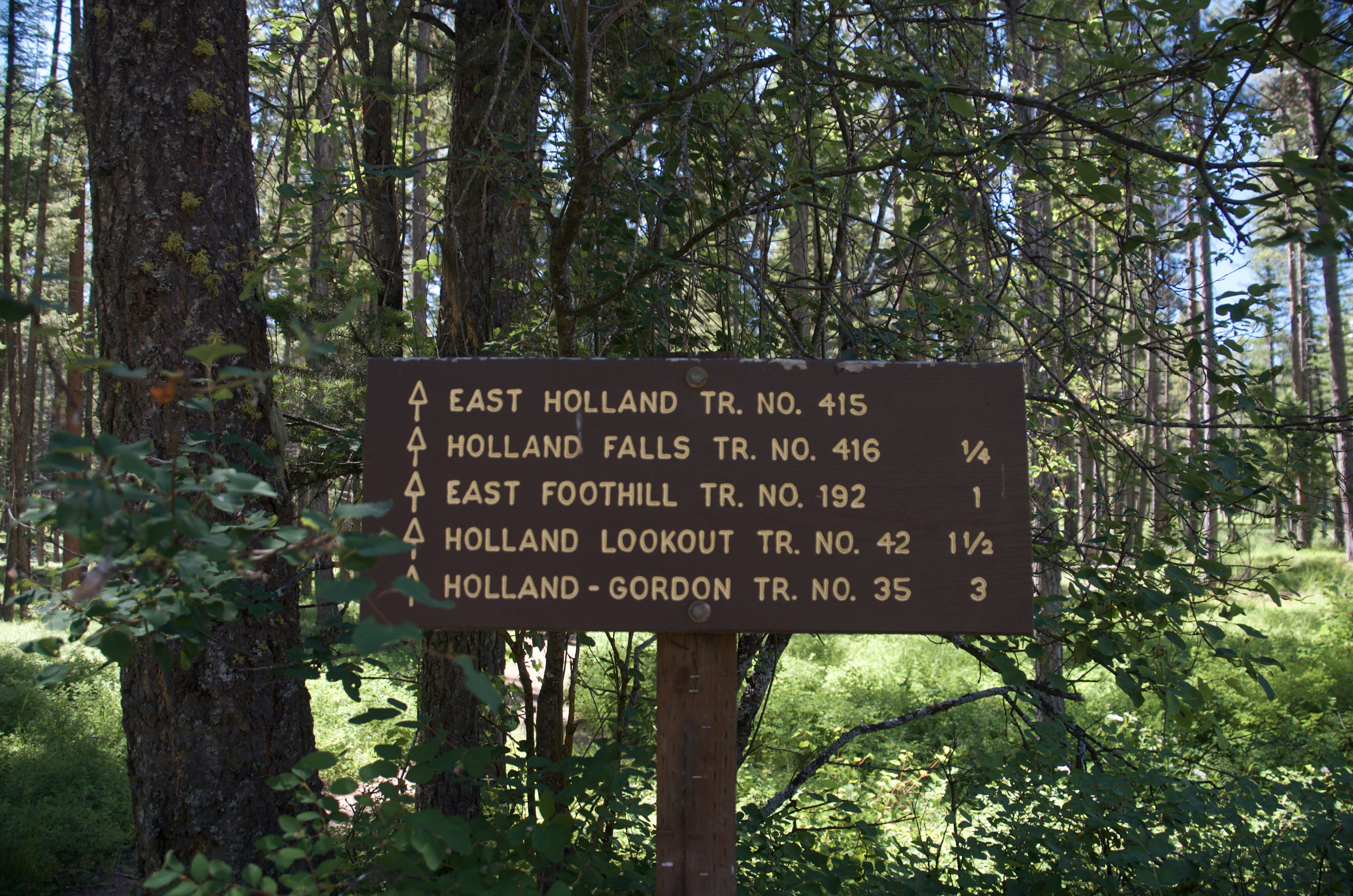 Trail junction sign showing Holland Falls Trail No. 416 and distances to nearby trails