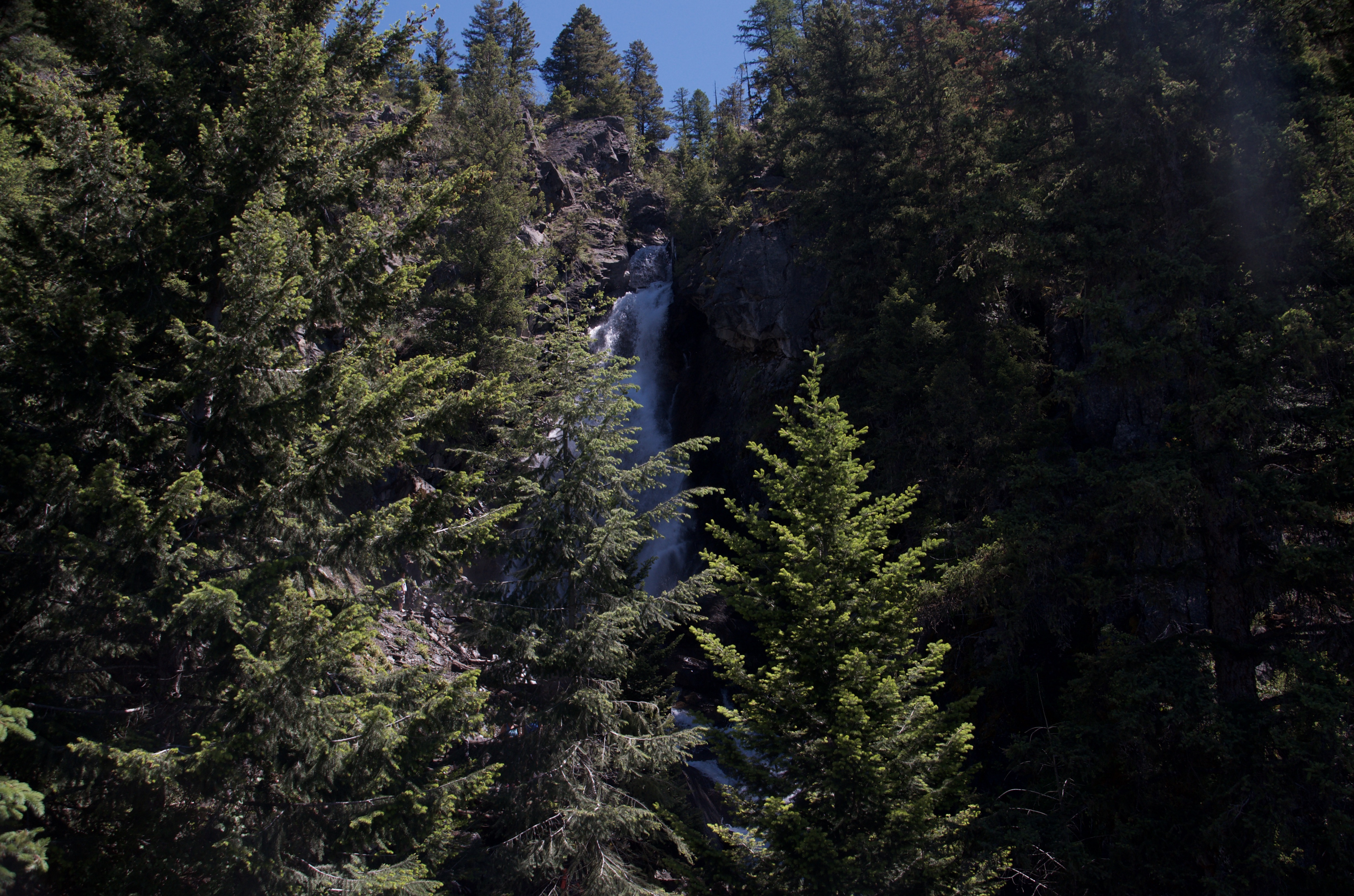 Distant view of Holland Falls partially obscured by trees from the official maintained overlook