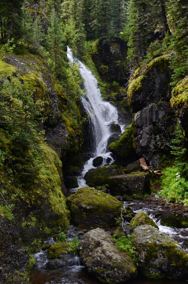 Tall waterfall cascading between moss-covered rock walls in evergreen forest