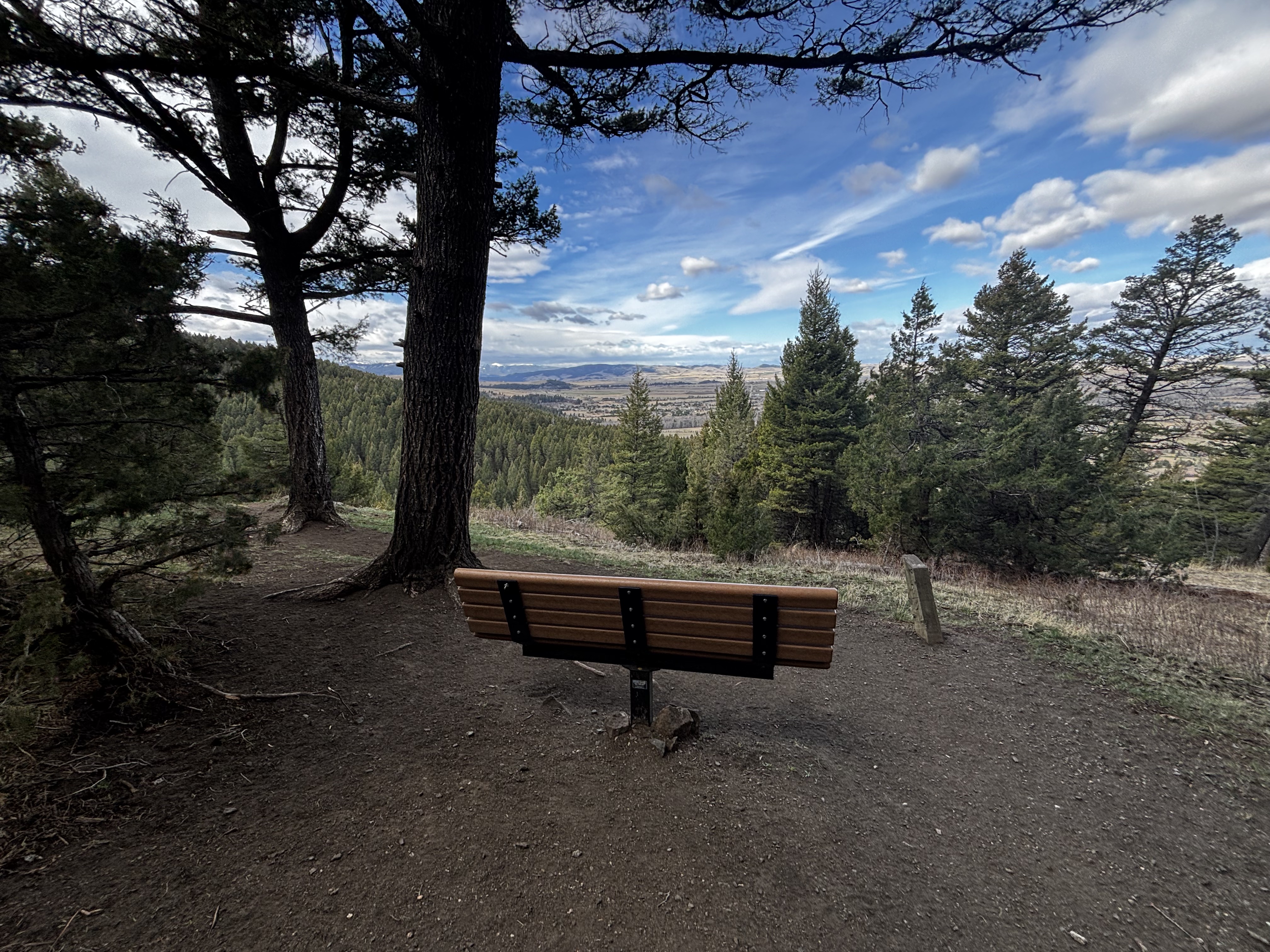 Park bench under pine trees at the Kirk Hill viewpoint overlooking the Gallatin Valley