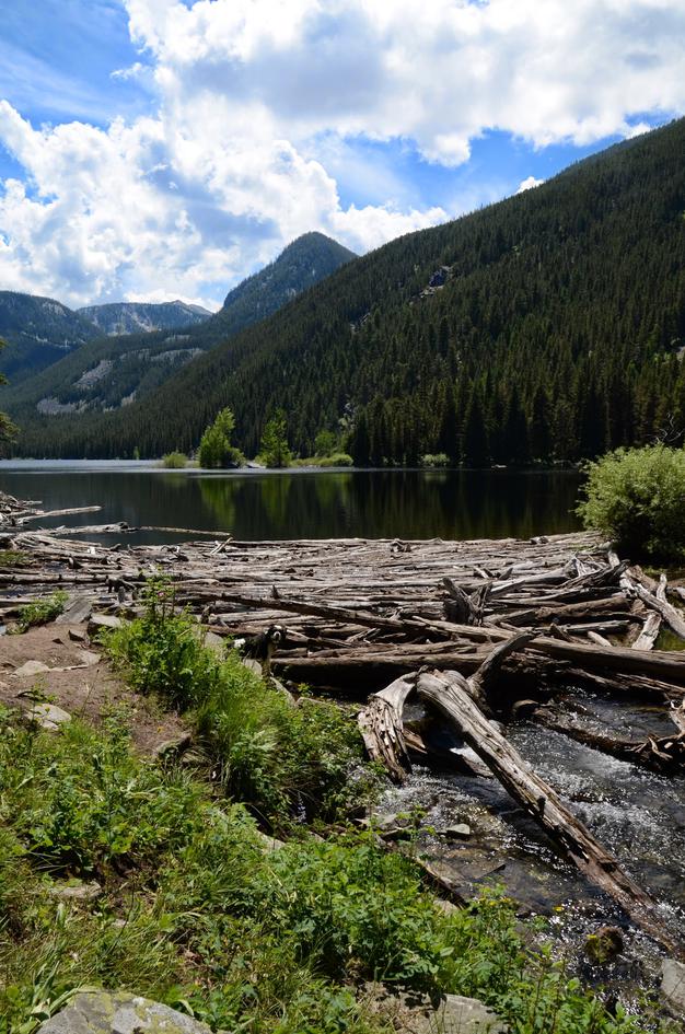 Lava Lake outlet with driftwood logs and mountain reflections