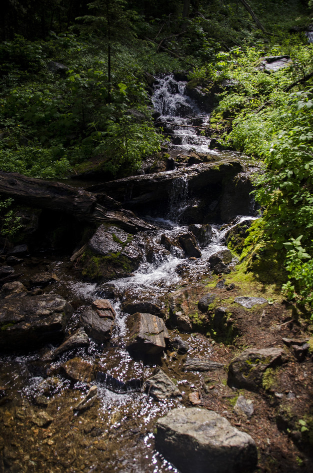 Small waterfall cascading over mossy rocks through lush forest