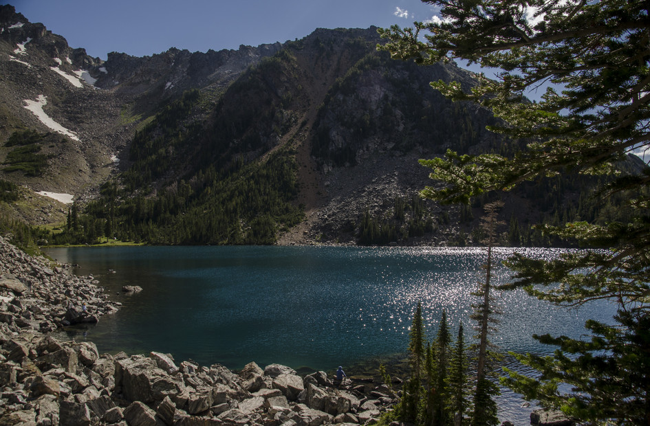 Louise Lake framed by spruce trees with steep talus slopes above