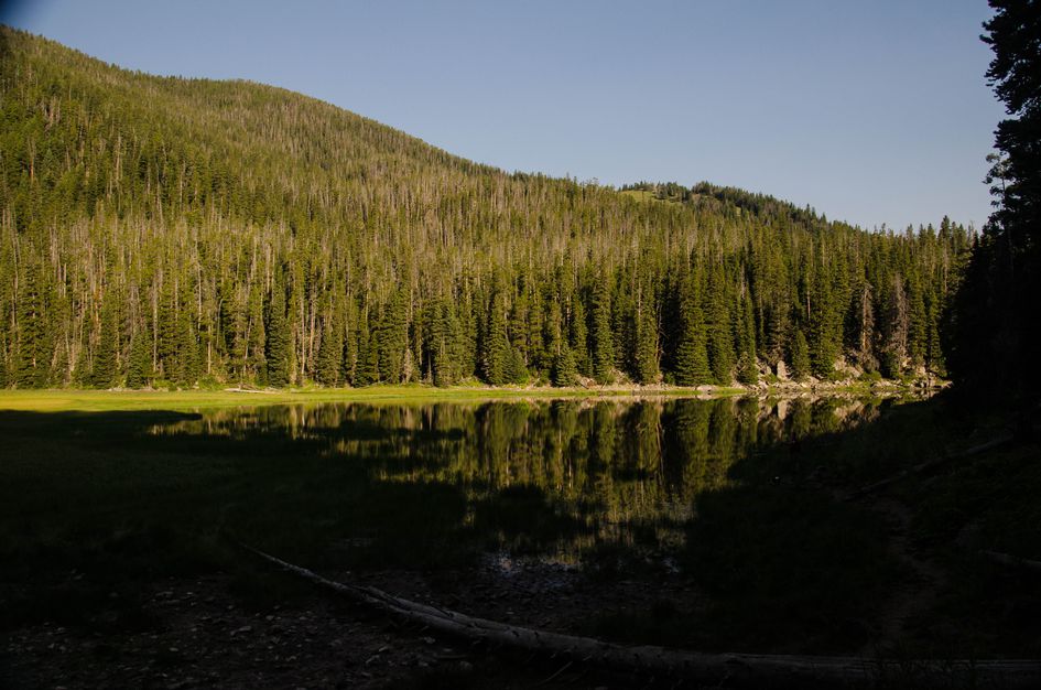 Blackmore Lake with perfect reflection of evergreen forest and meadow