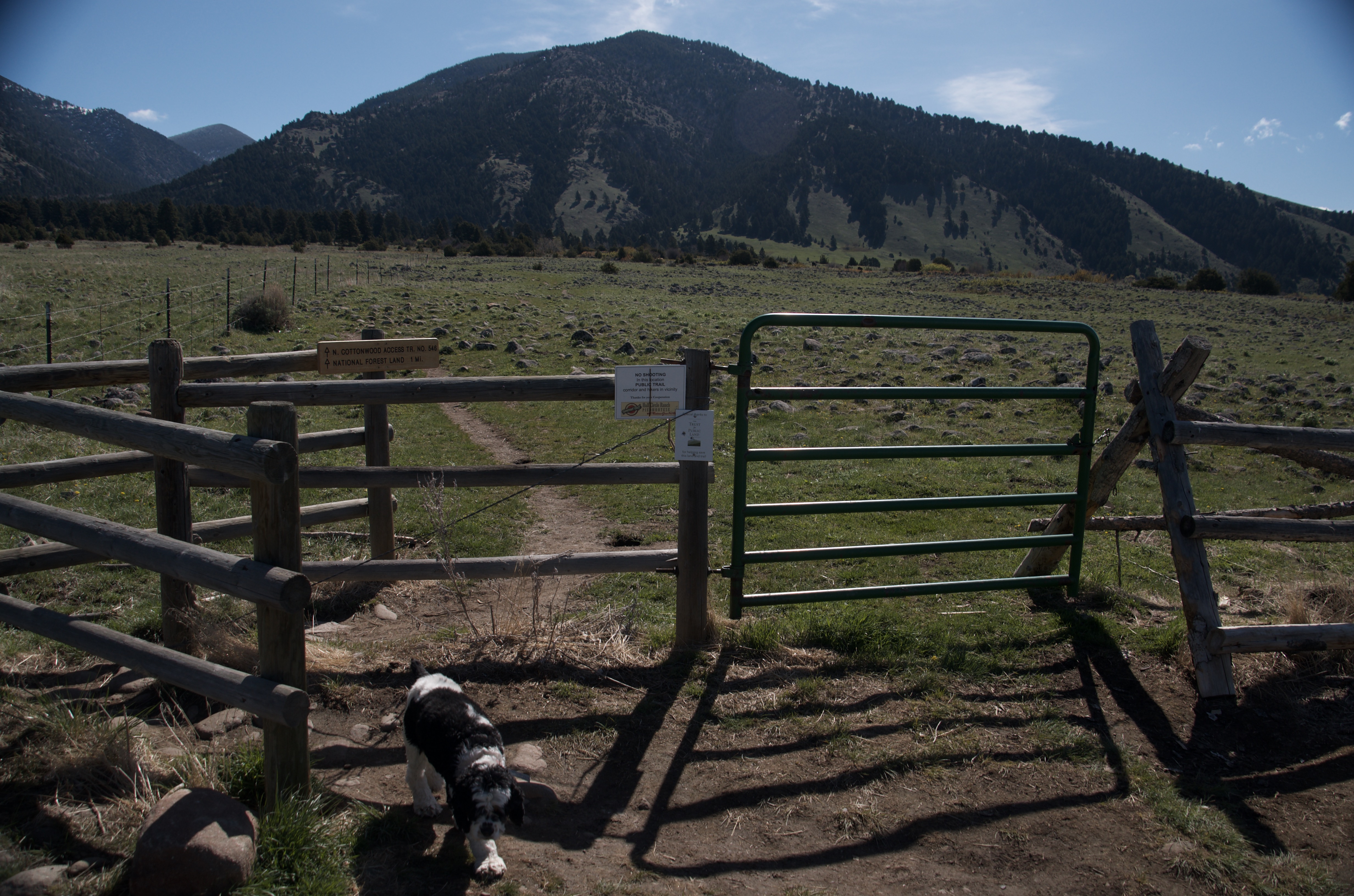 Green metal gate opening through wooden rail fence at trailhead with Bridger foothills rising behind and dog resting in foreground