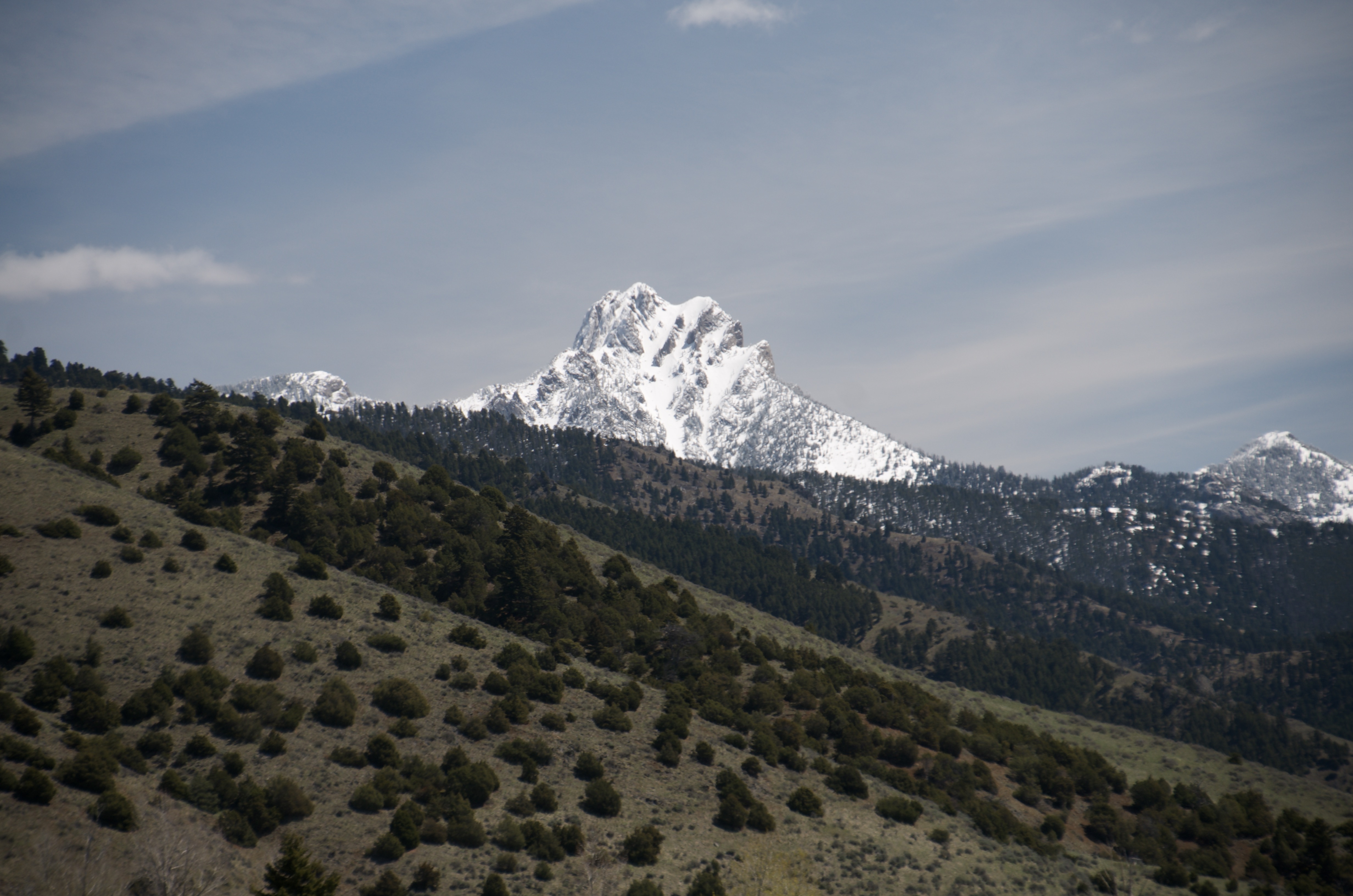 Dramatic snow-covered peak rising above forested Bridger Range foothills on clear blue-sky day