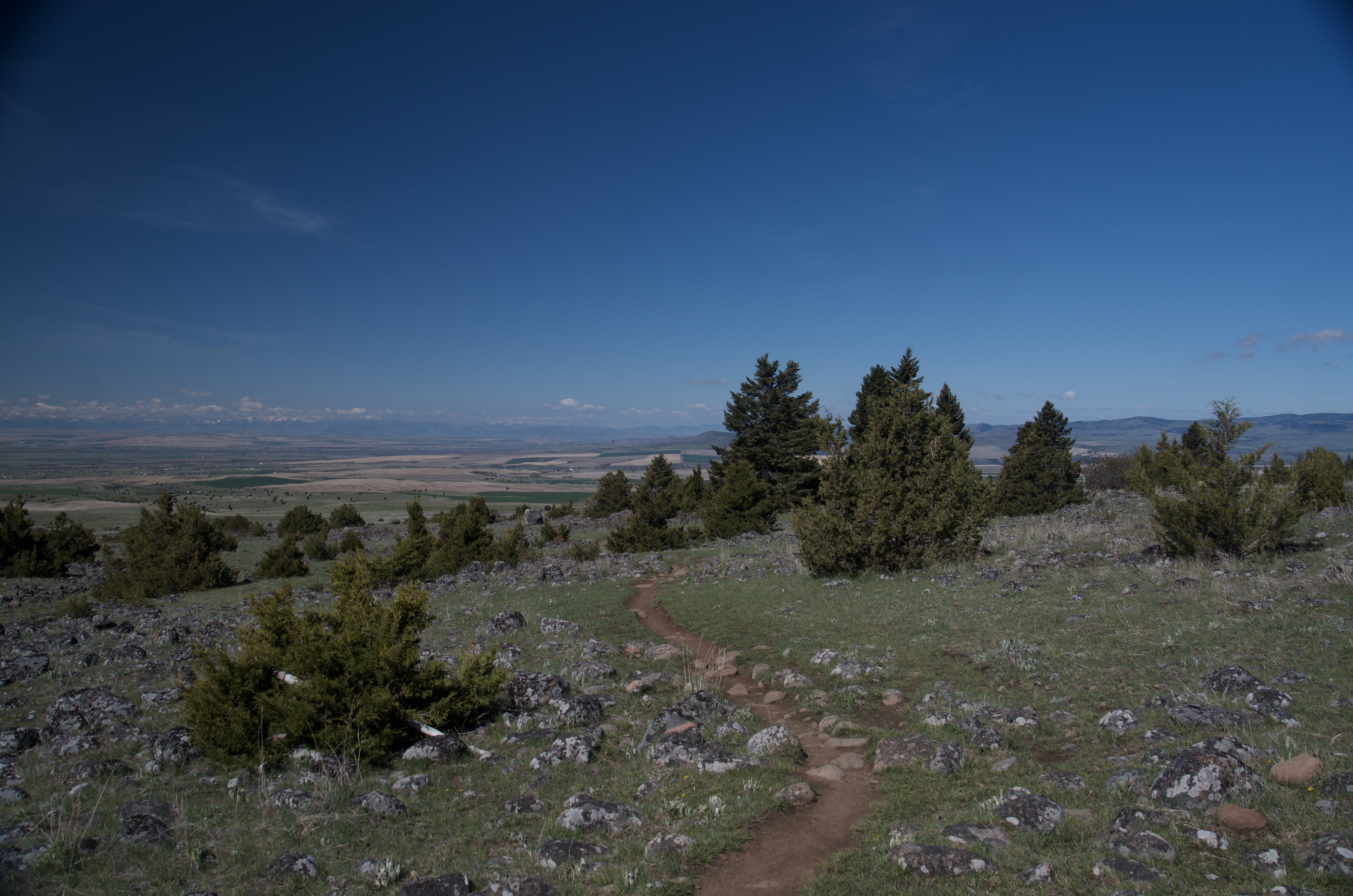 Narrow trail winding through open rocky terrain with scattered juniper trees and sweeping valley view