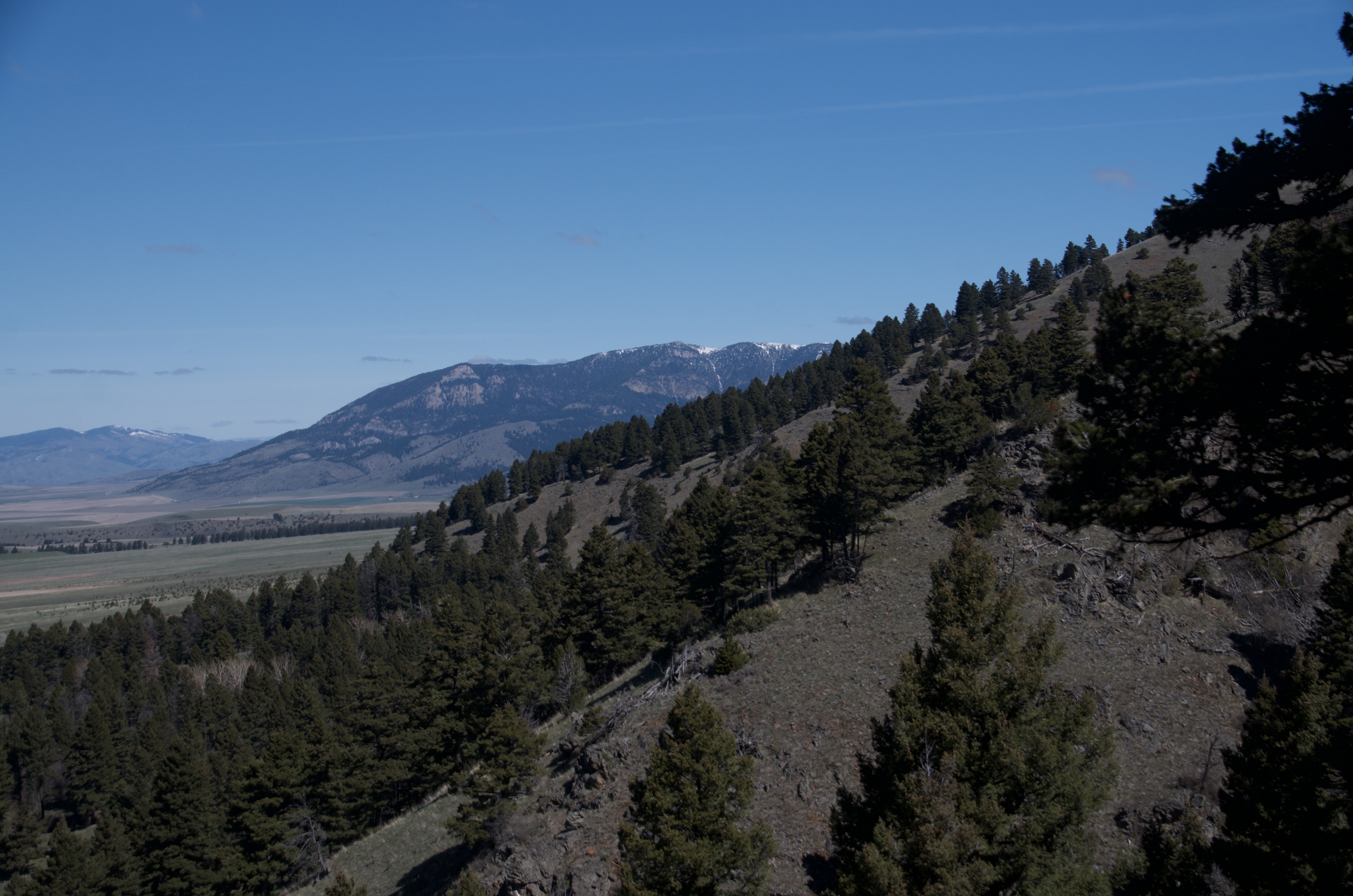 Steep forested hillside with rocky scree slope and Gallatin Valley spread out far below