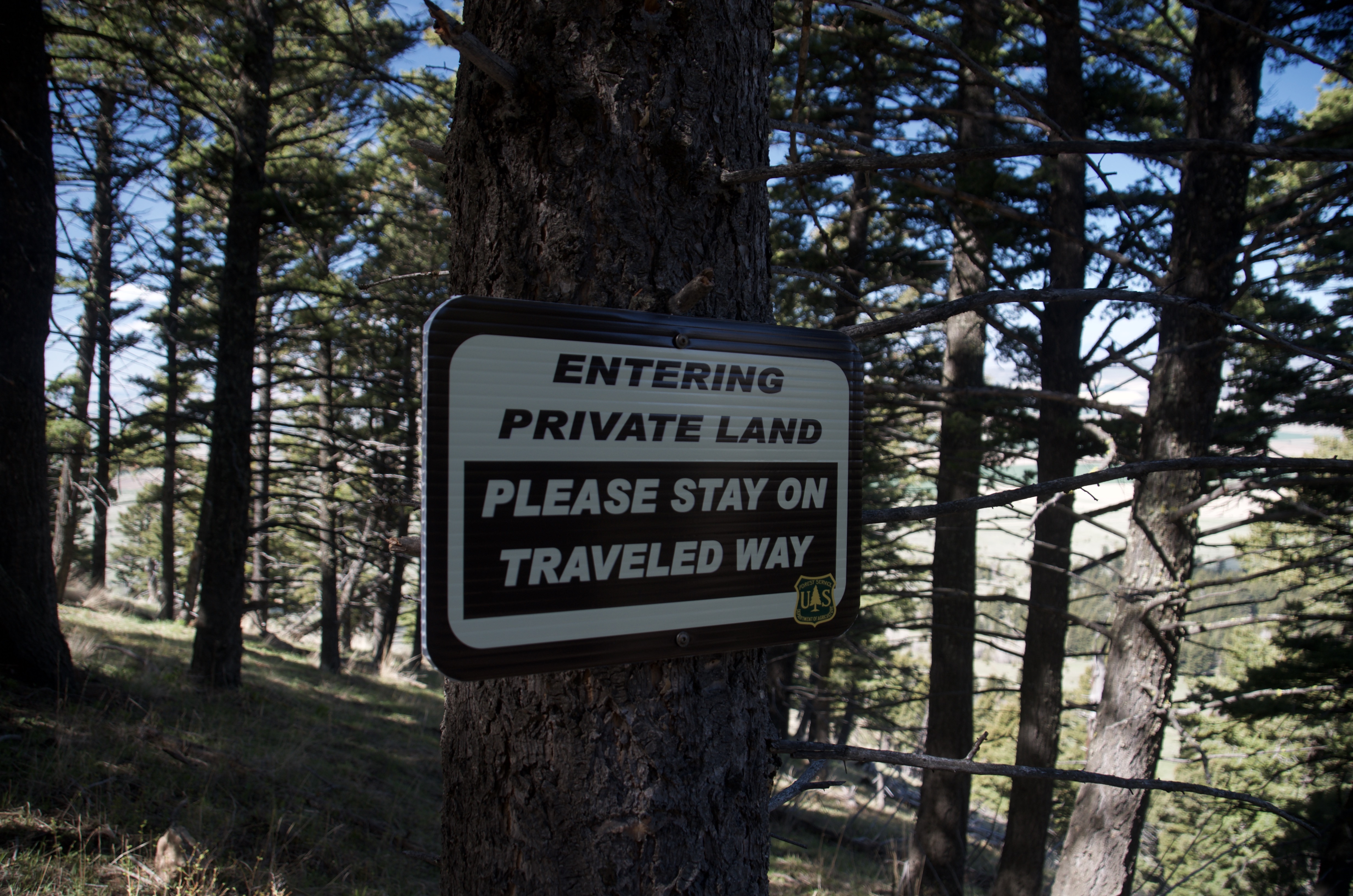 Sign on tree reading Entering Private Land Please Stay on Traveled Way in conifer forest