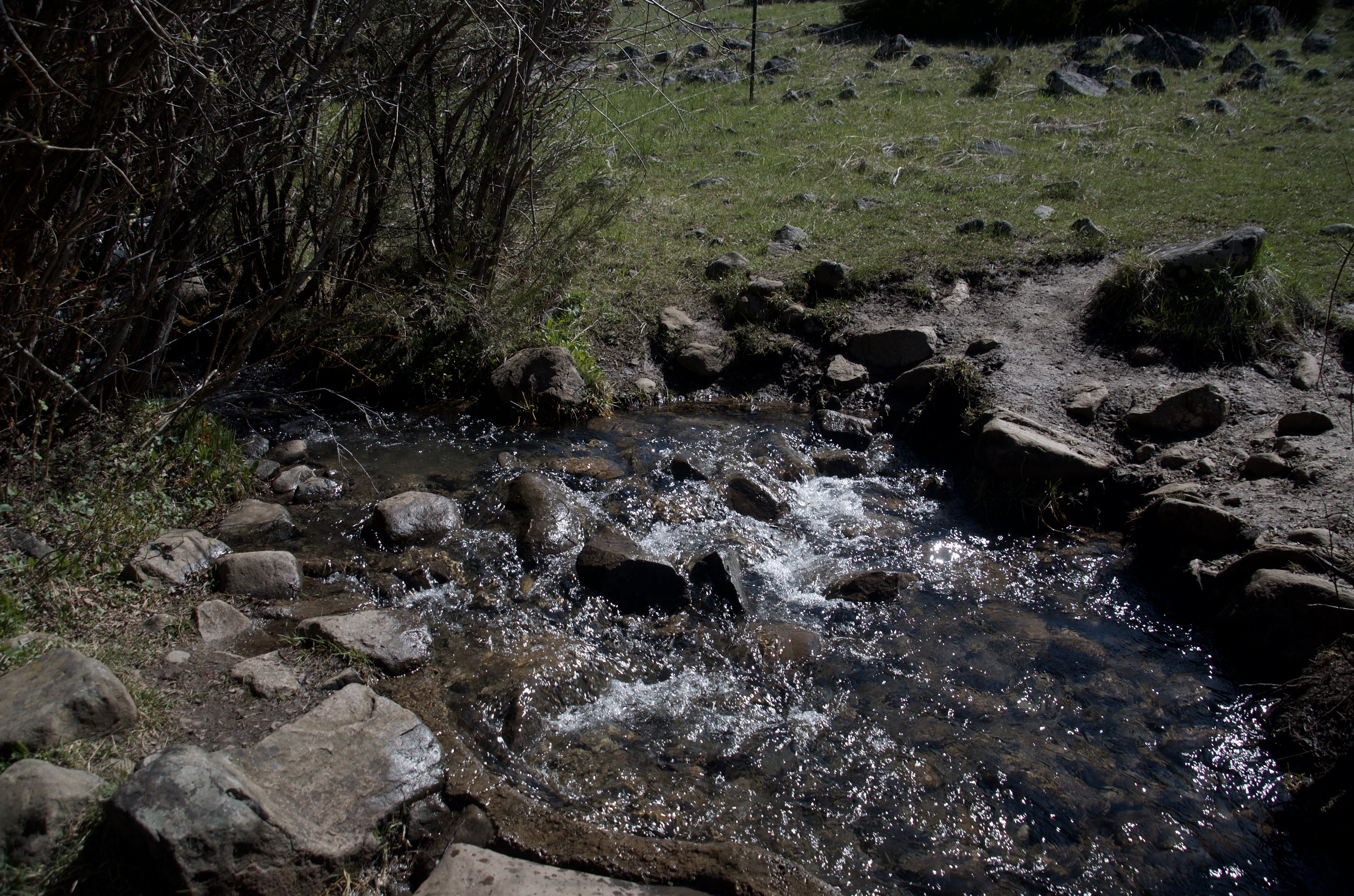 Rocky North Cottonwood Creek rushing over stones in early season with grassy banks on either side