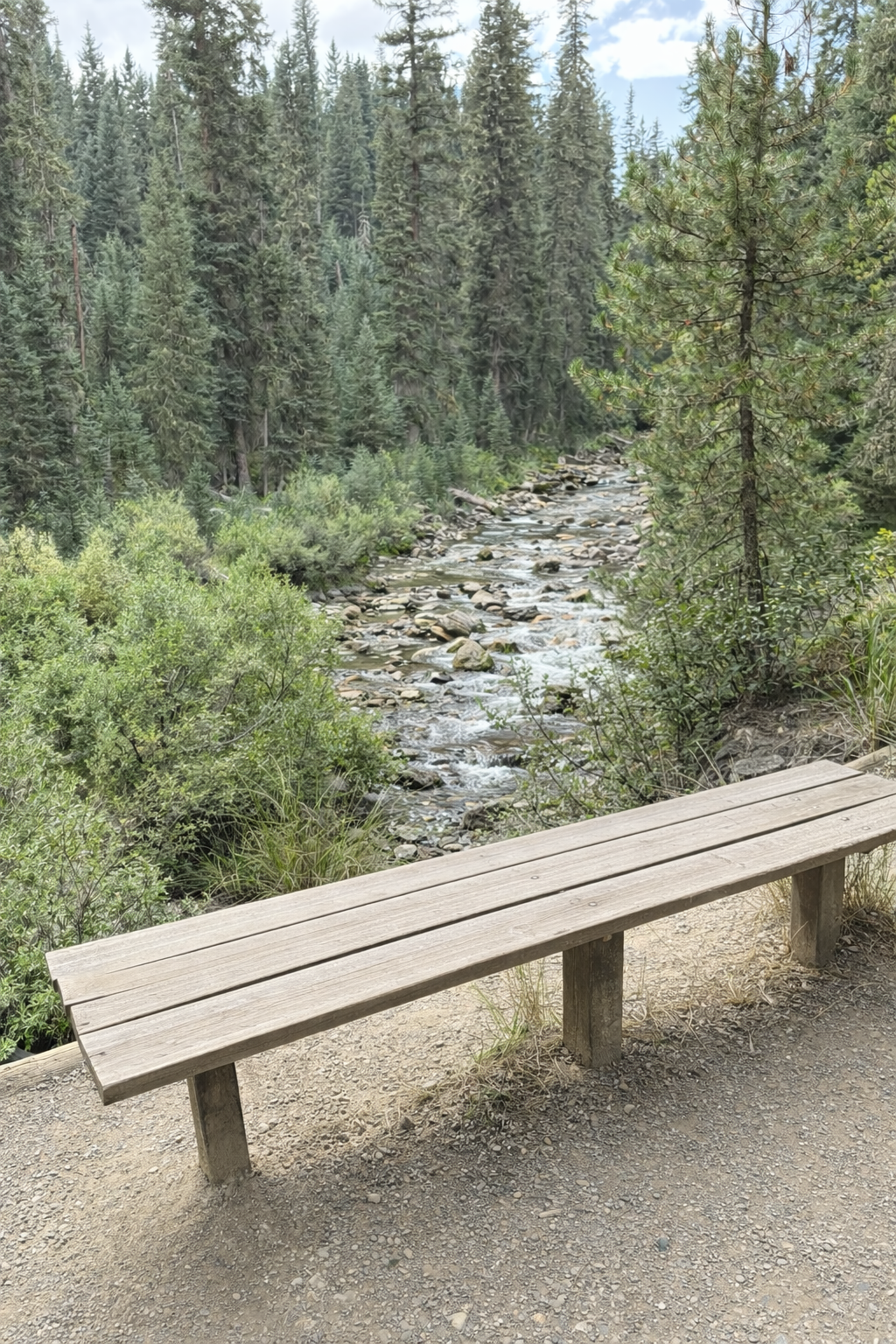 Trailside bench overlooking gentle creek flowing through evergreen forest