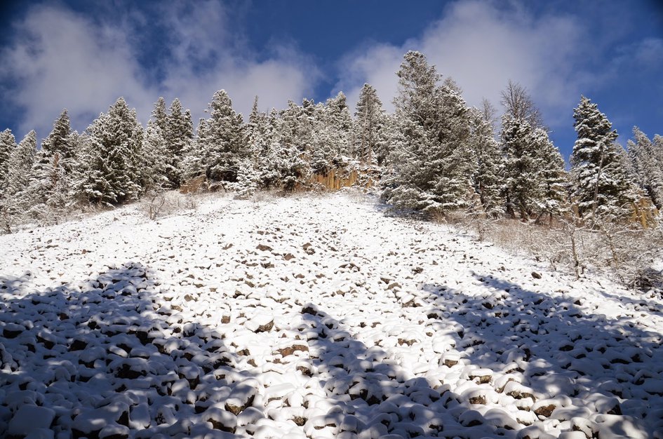Rocky slope with snow-covered pines and columnar basalt visible