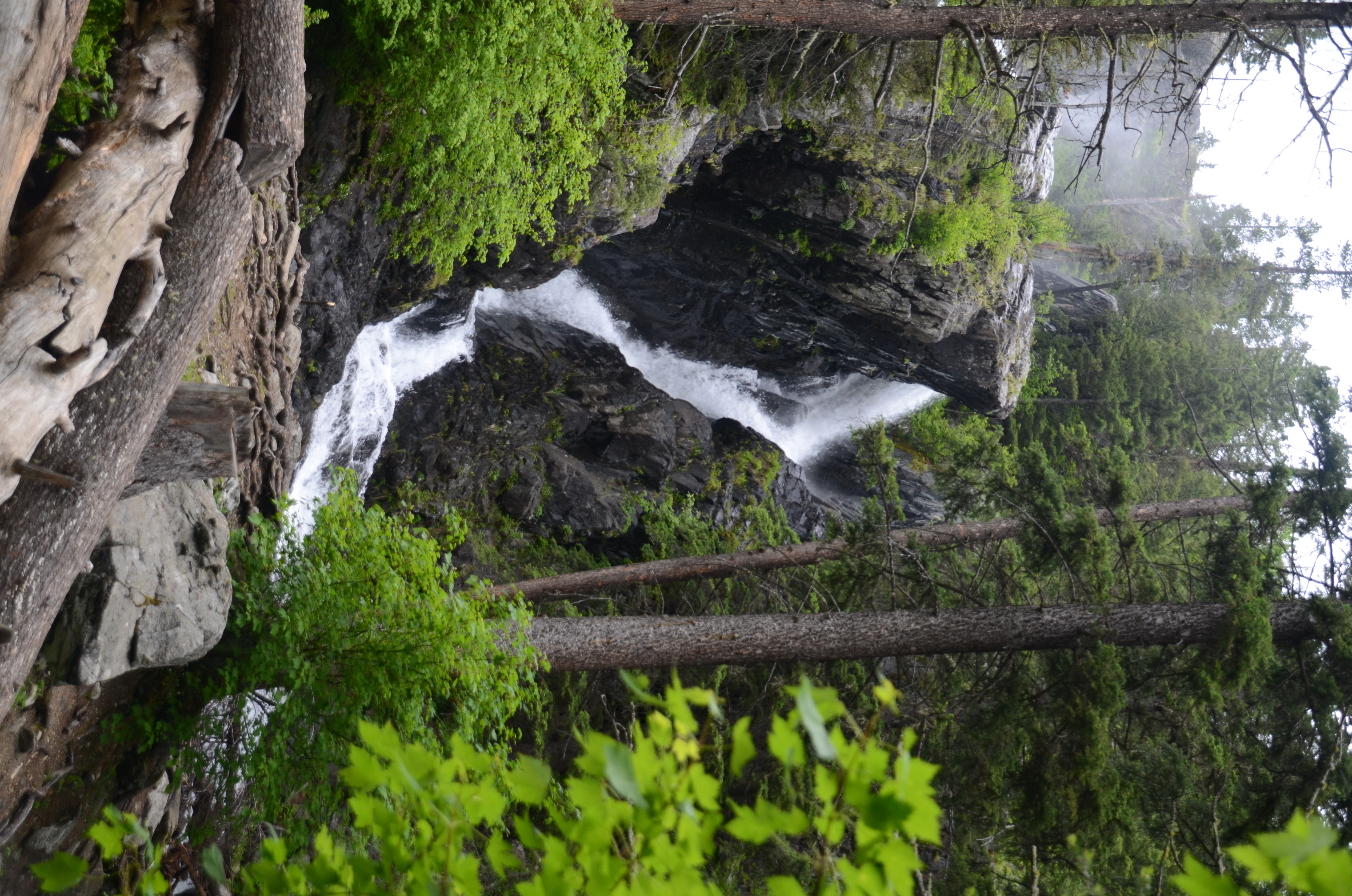 Pine Creek Falls from the base with fallen logs and rushing water