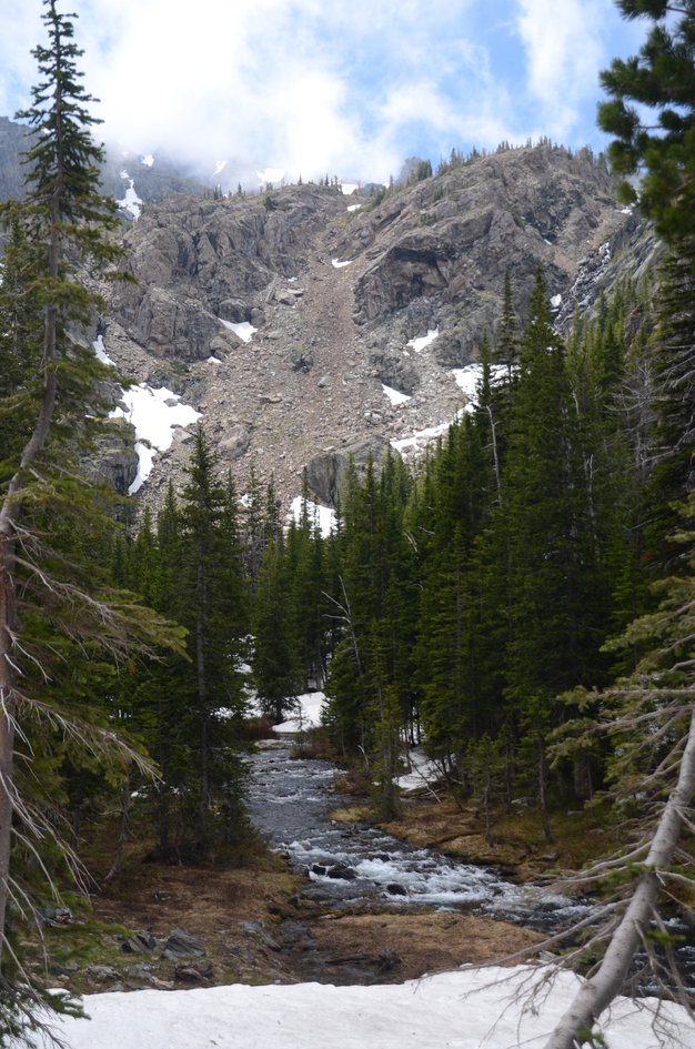 Creek flowing through spruce forest toward rocky cirque with snow patches