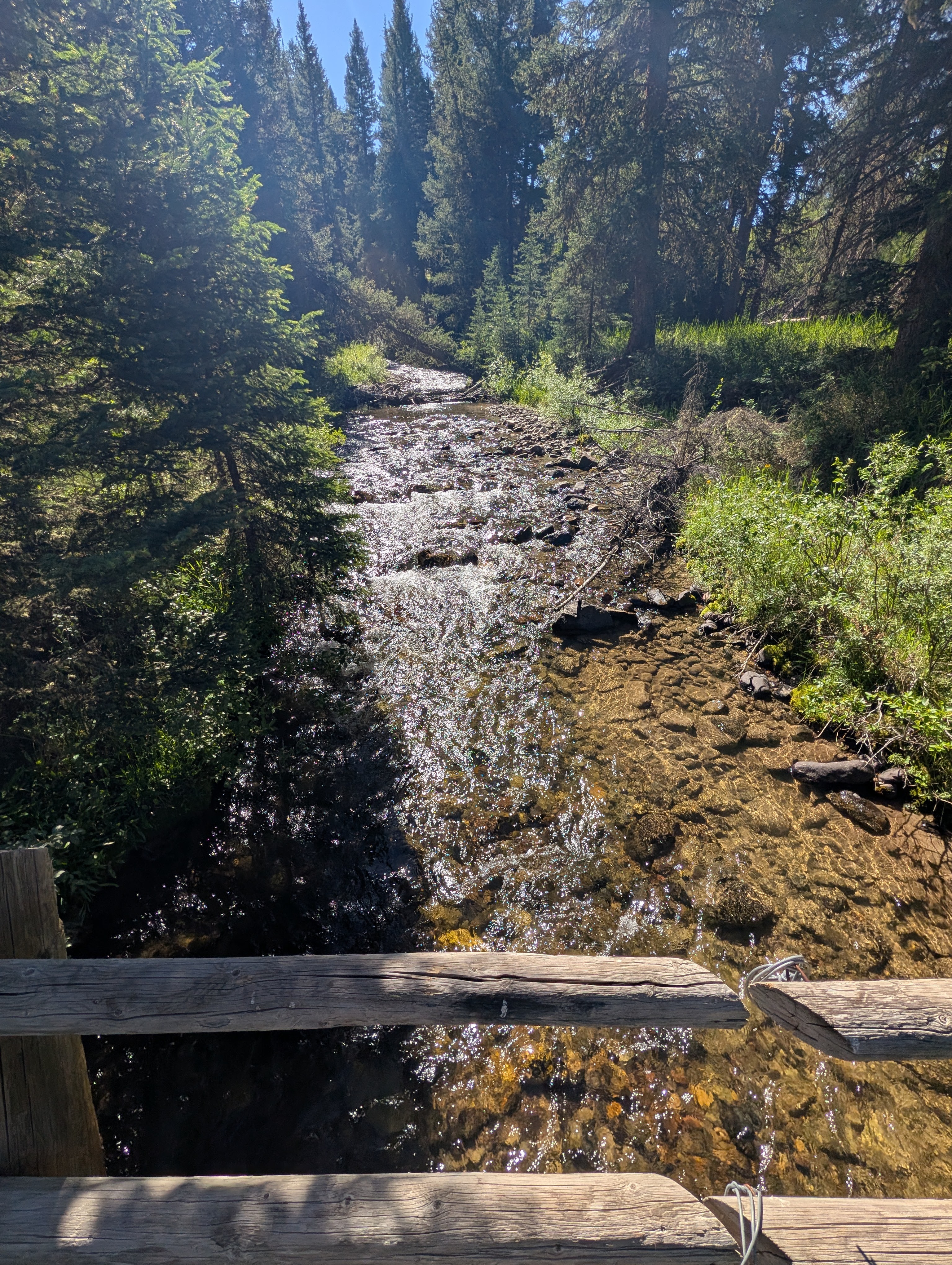 Porcupine Creek flowing through the forest beside a bridge on the lower trail