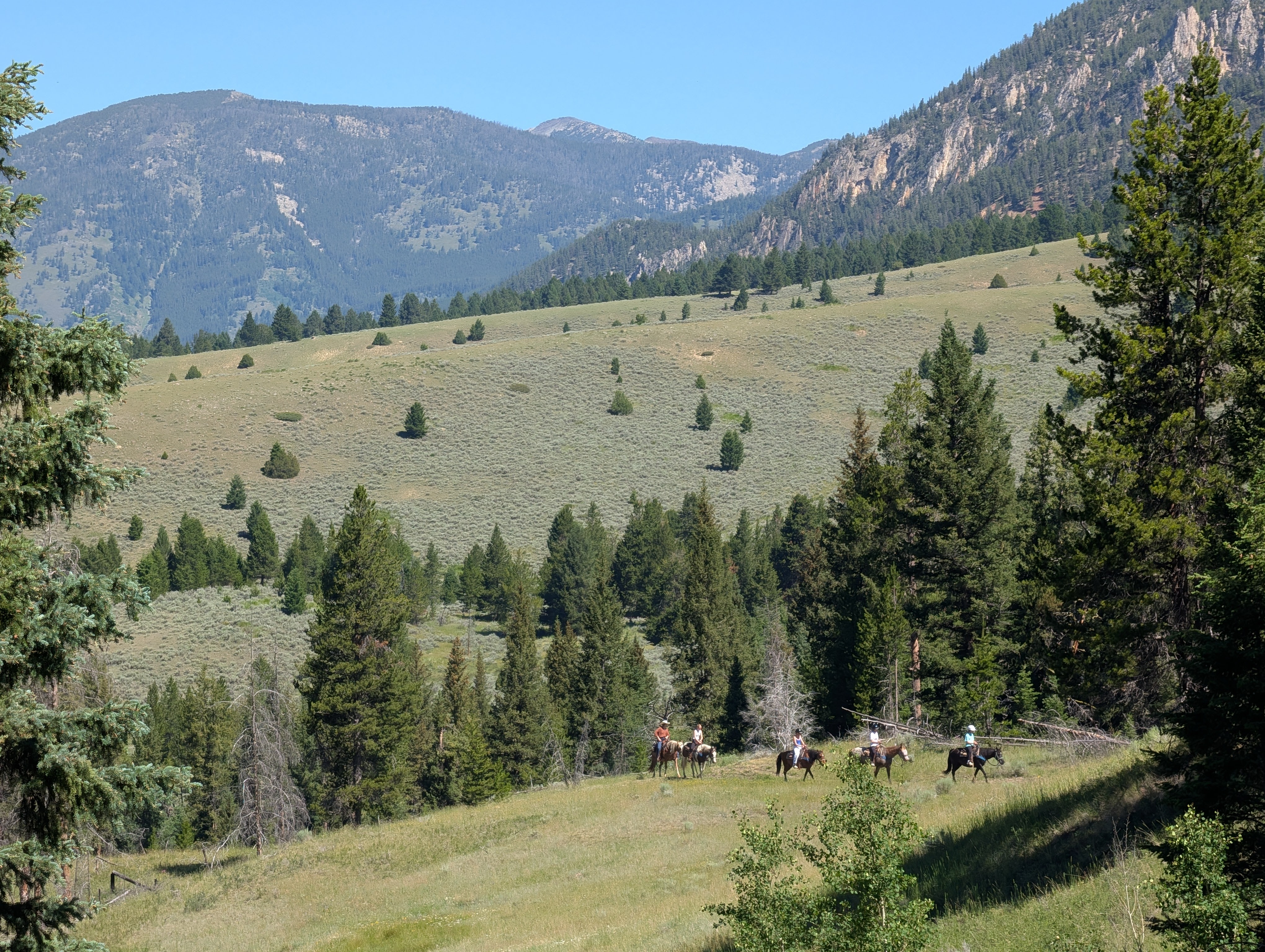 Riders on horseback crossing a meadow on Porcupine Creek Trail