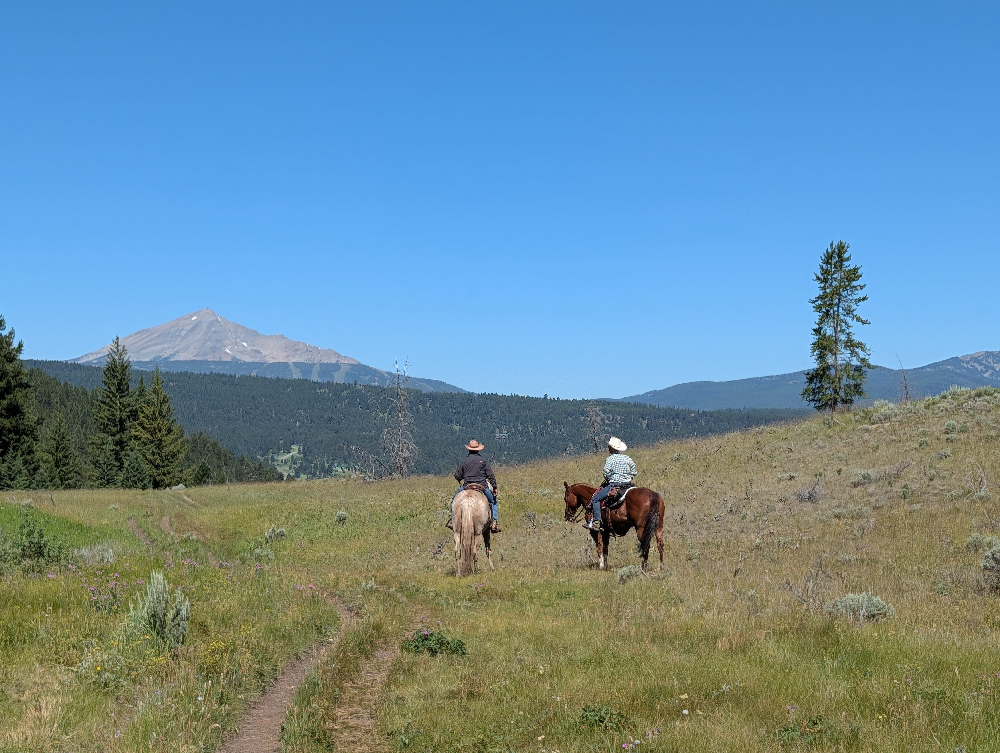 Horseback riders on Porcupine Creek Trail with Lone Mountain in the distance