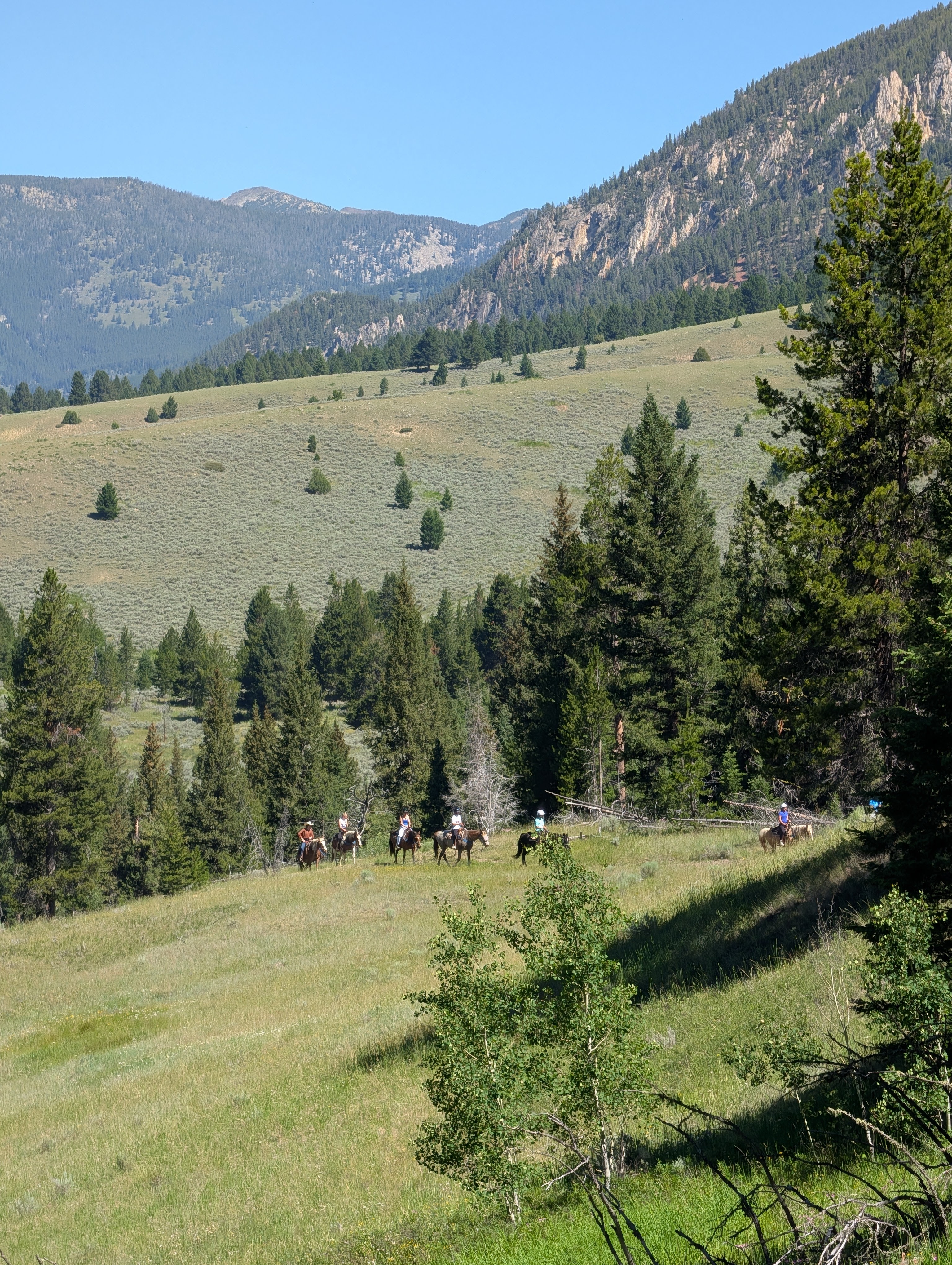 Mountain cliffs and sagebrush meadow viewed from Porcupine Creek Trail